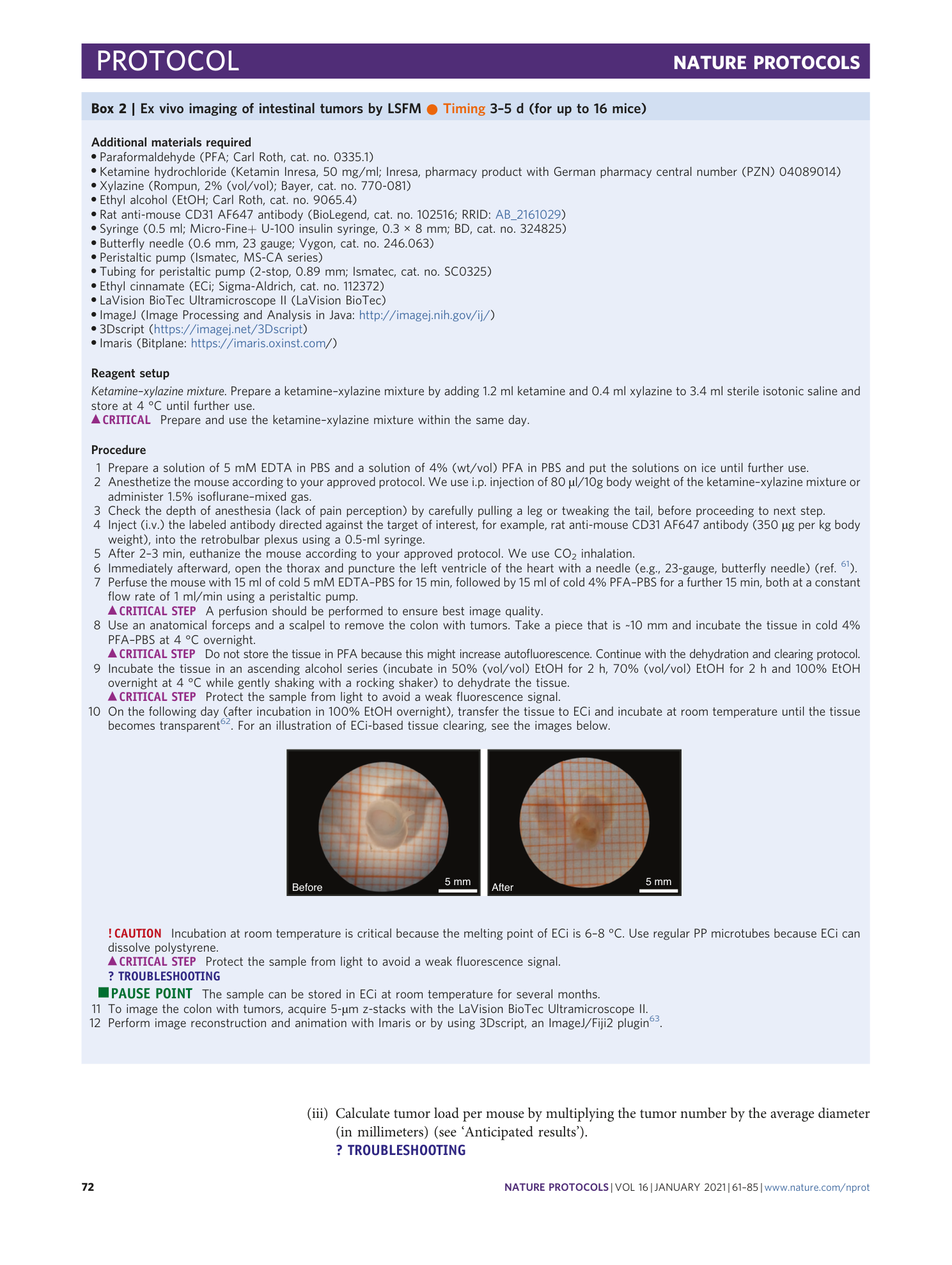 page-12