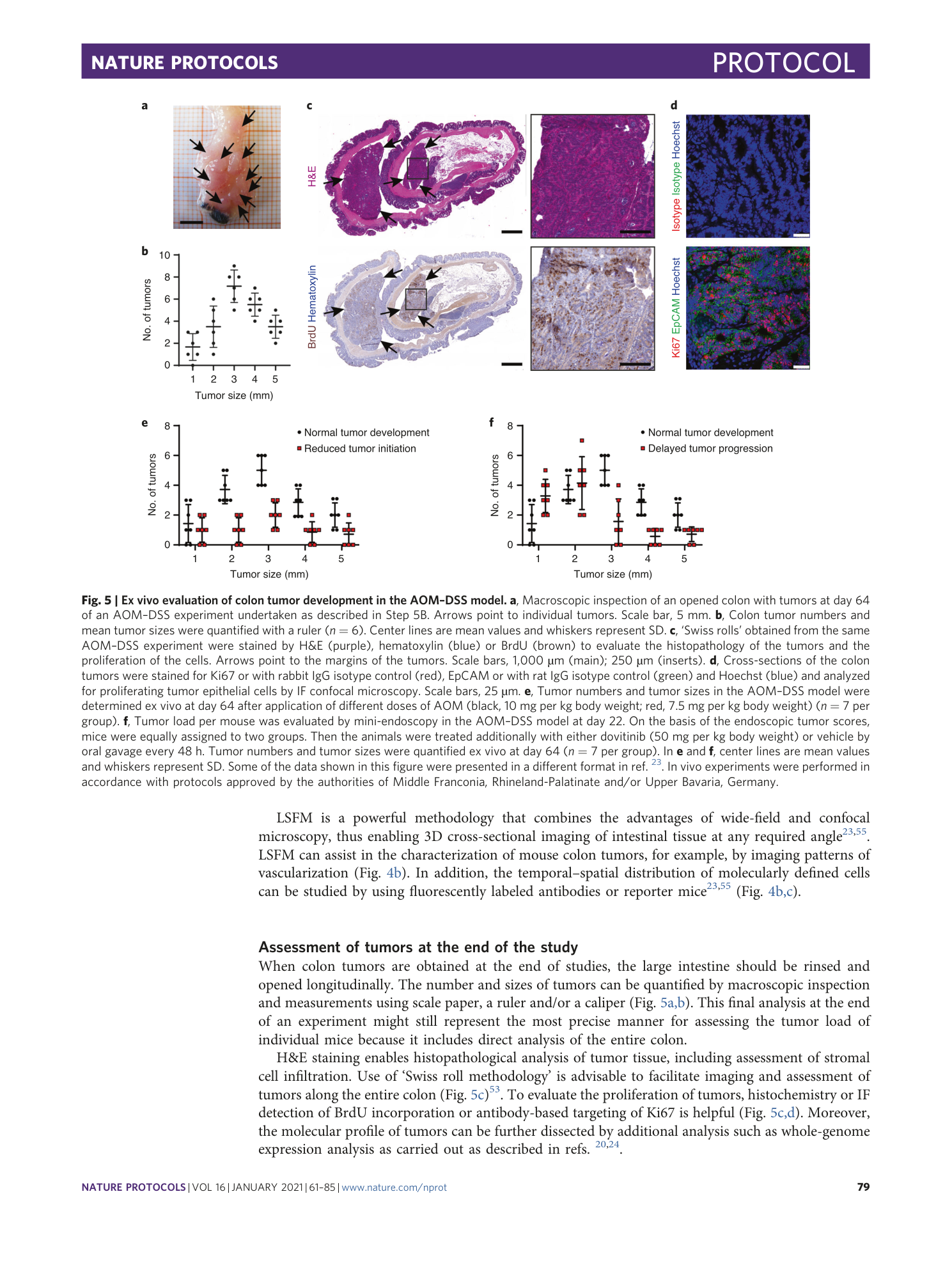 page-19