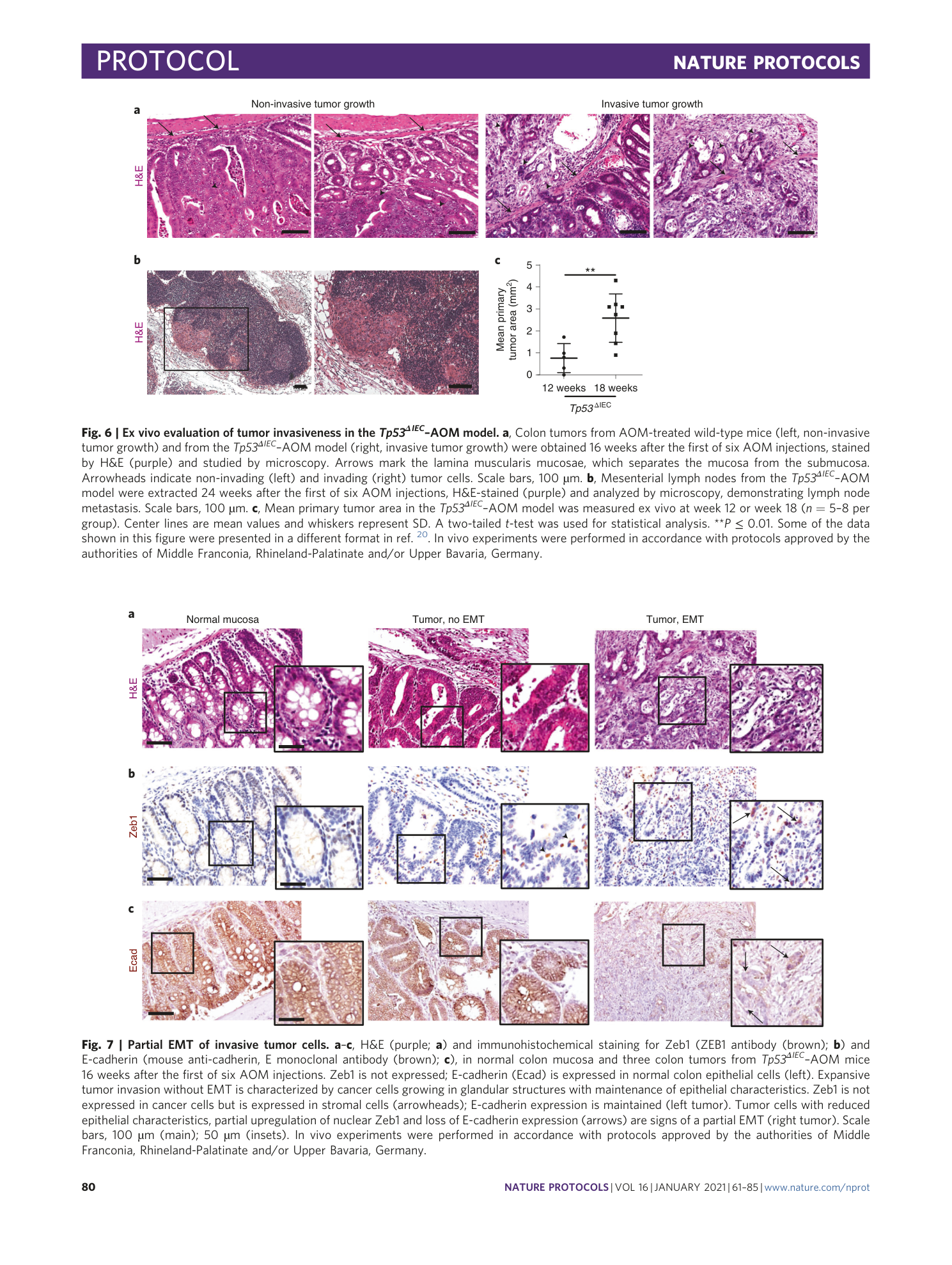 page-20