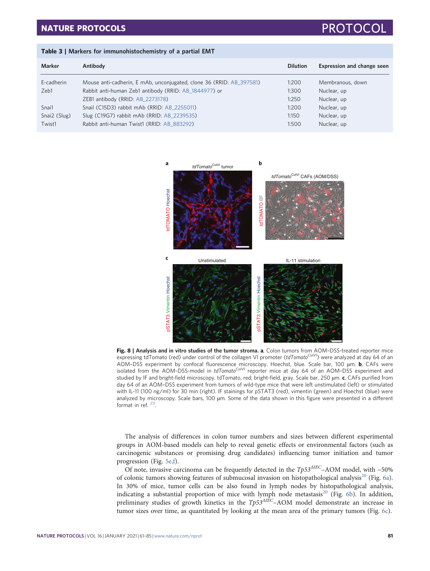 page-21