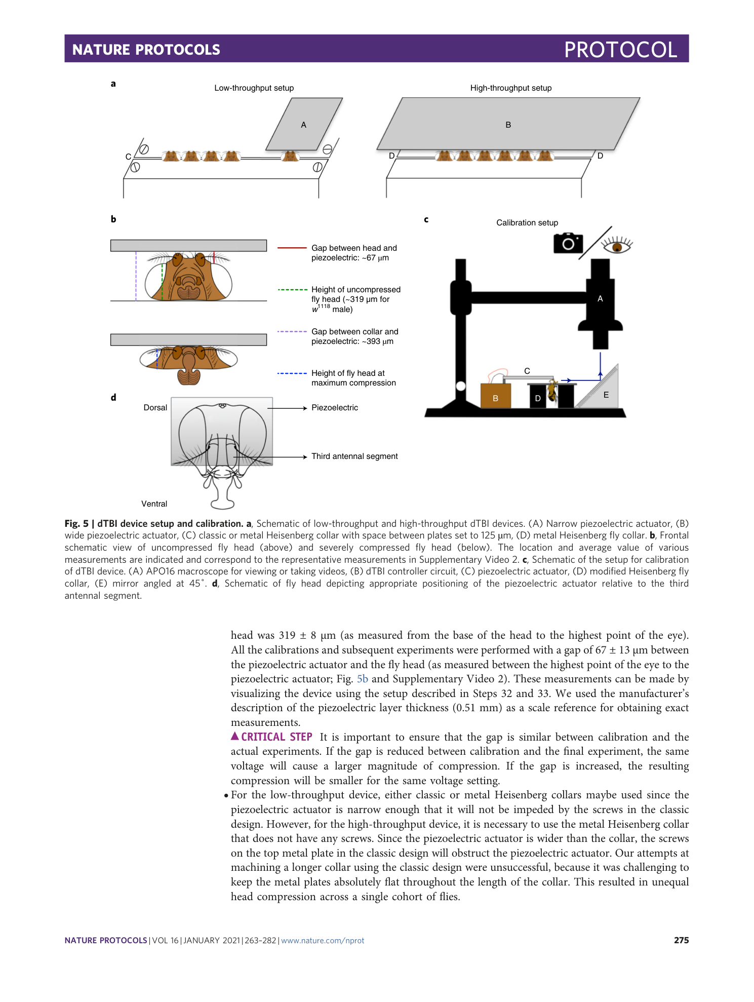 page-13