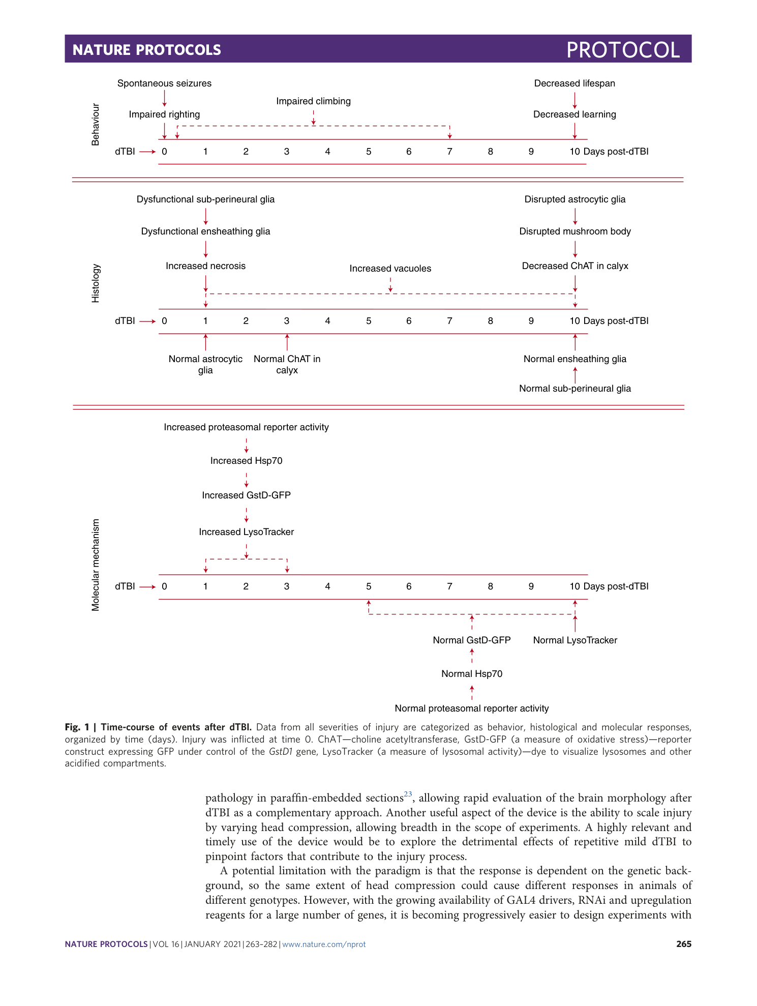 page-3