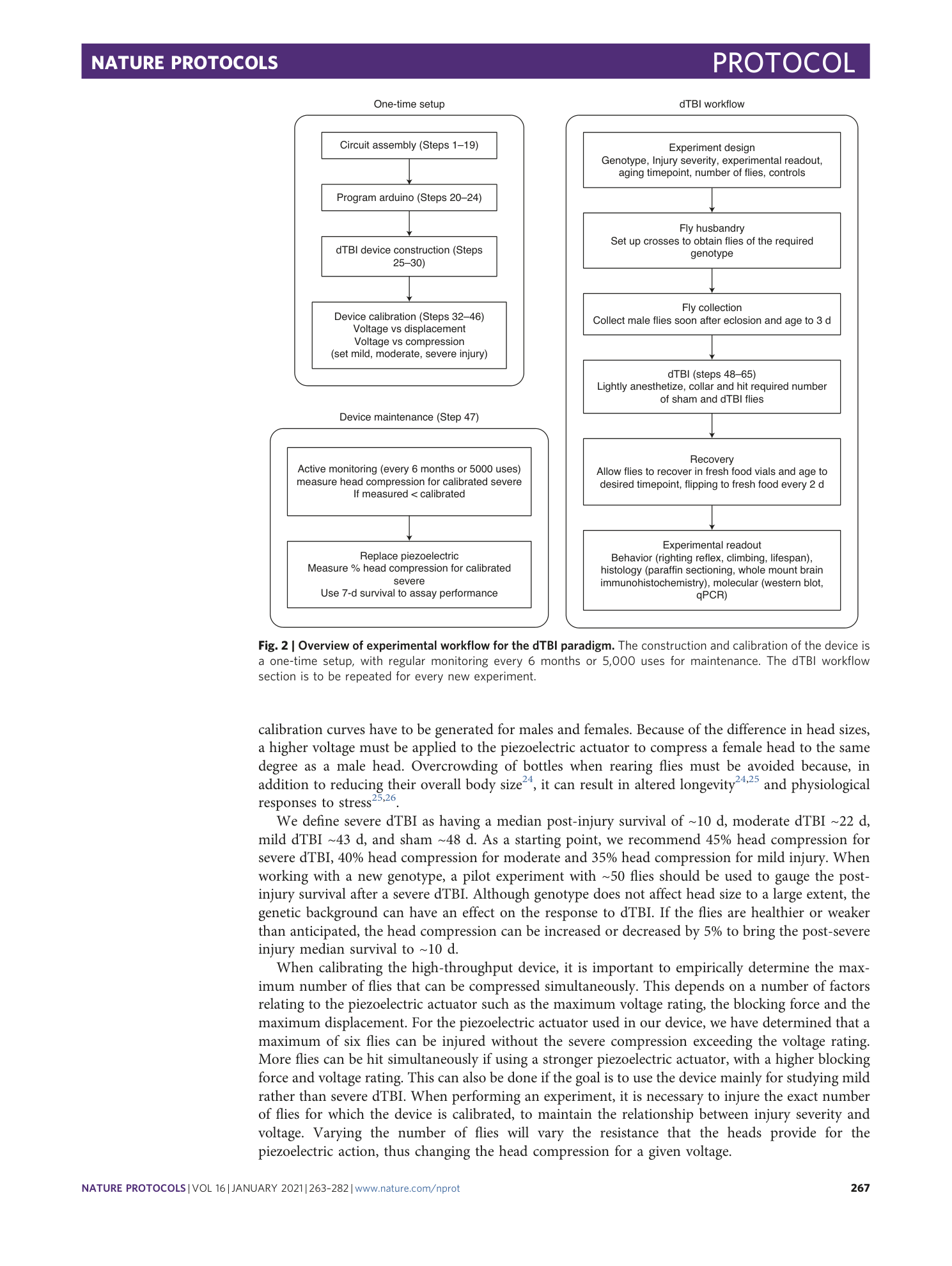 page-5