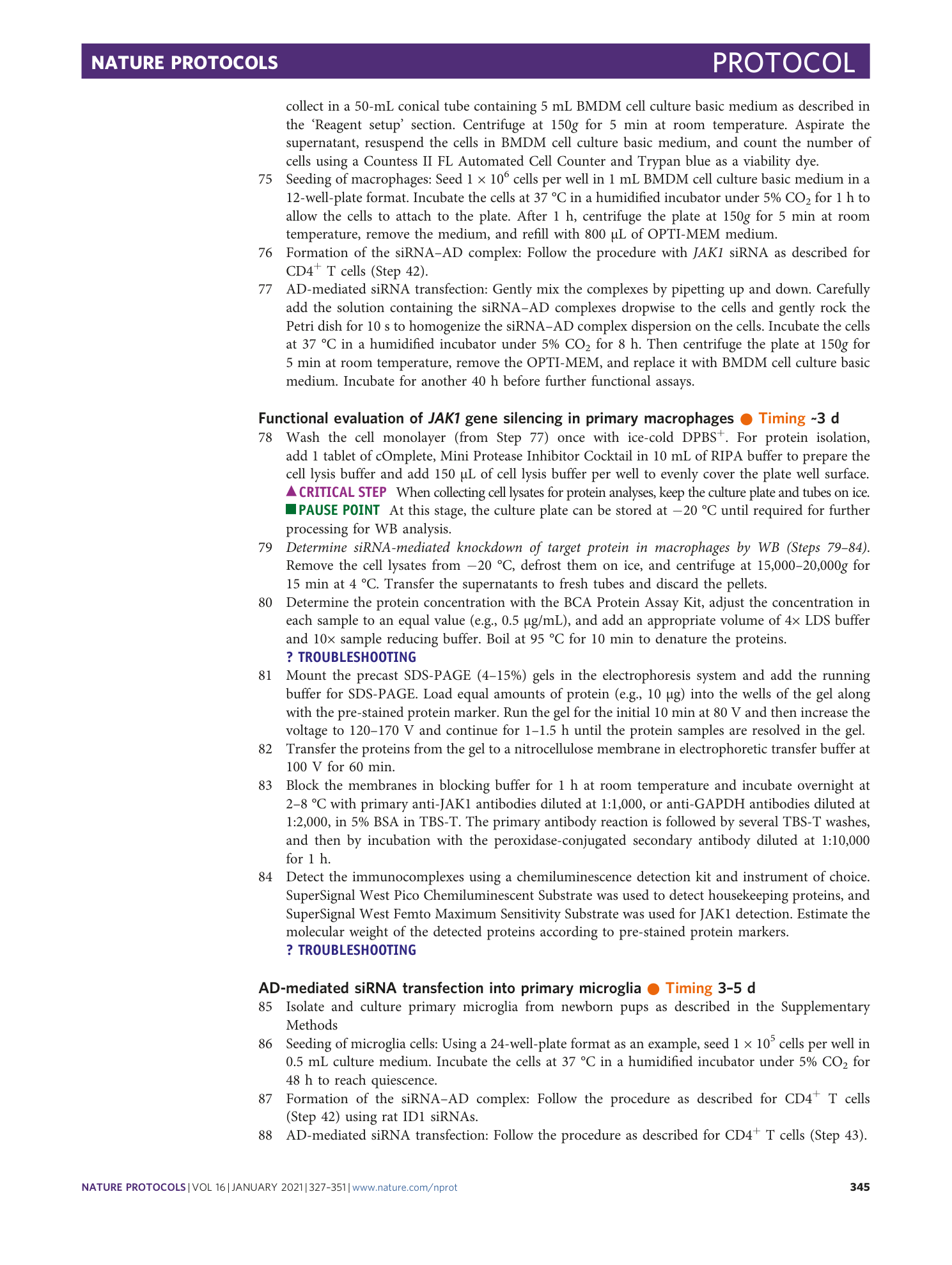 page-19