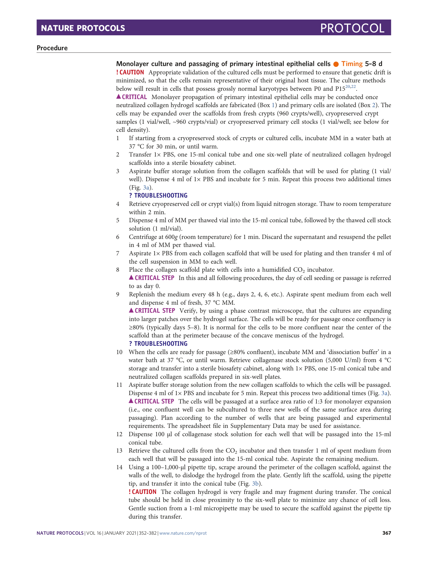 page-16