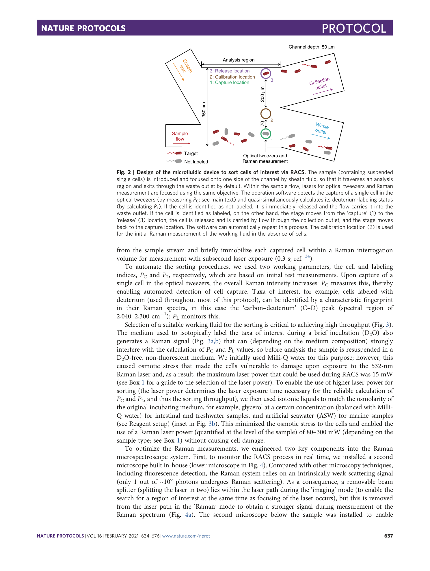 page-4