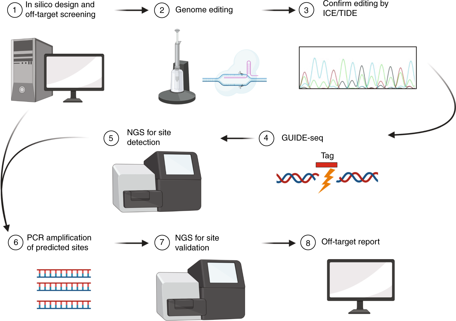 Fig. 4: Recommended workflow for identifying CRISPR–Cas9 off-target editing.