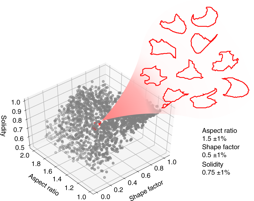 Fig. 1: Cells confined to narrow ranges of traditional morphological parameters still exhibit highly variable shapes.