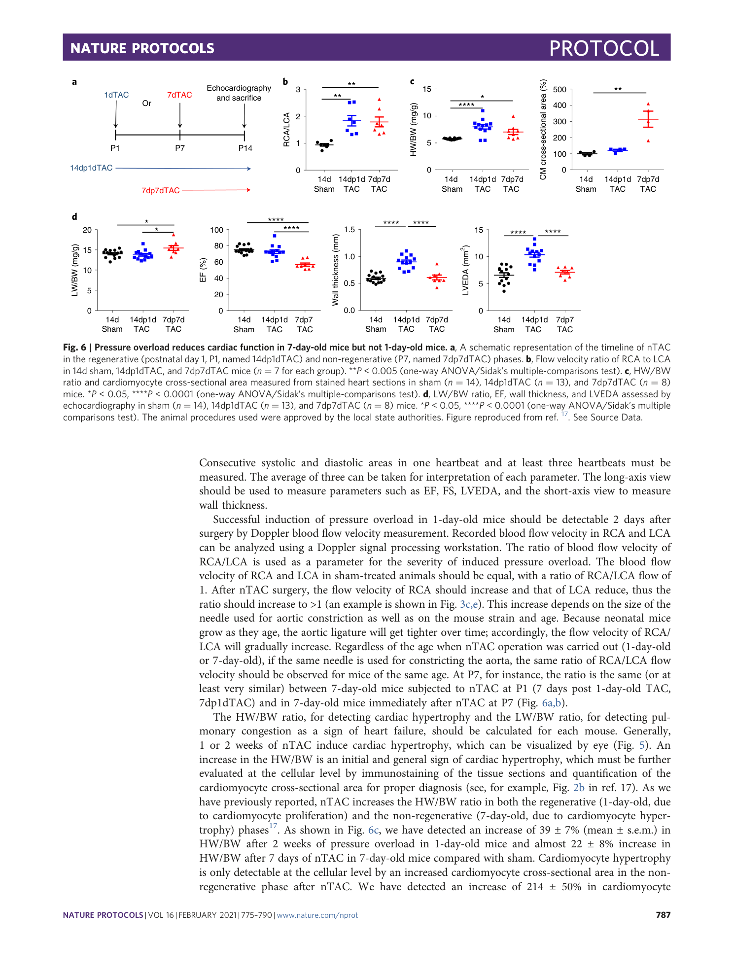 page-13
