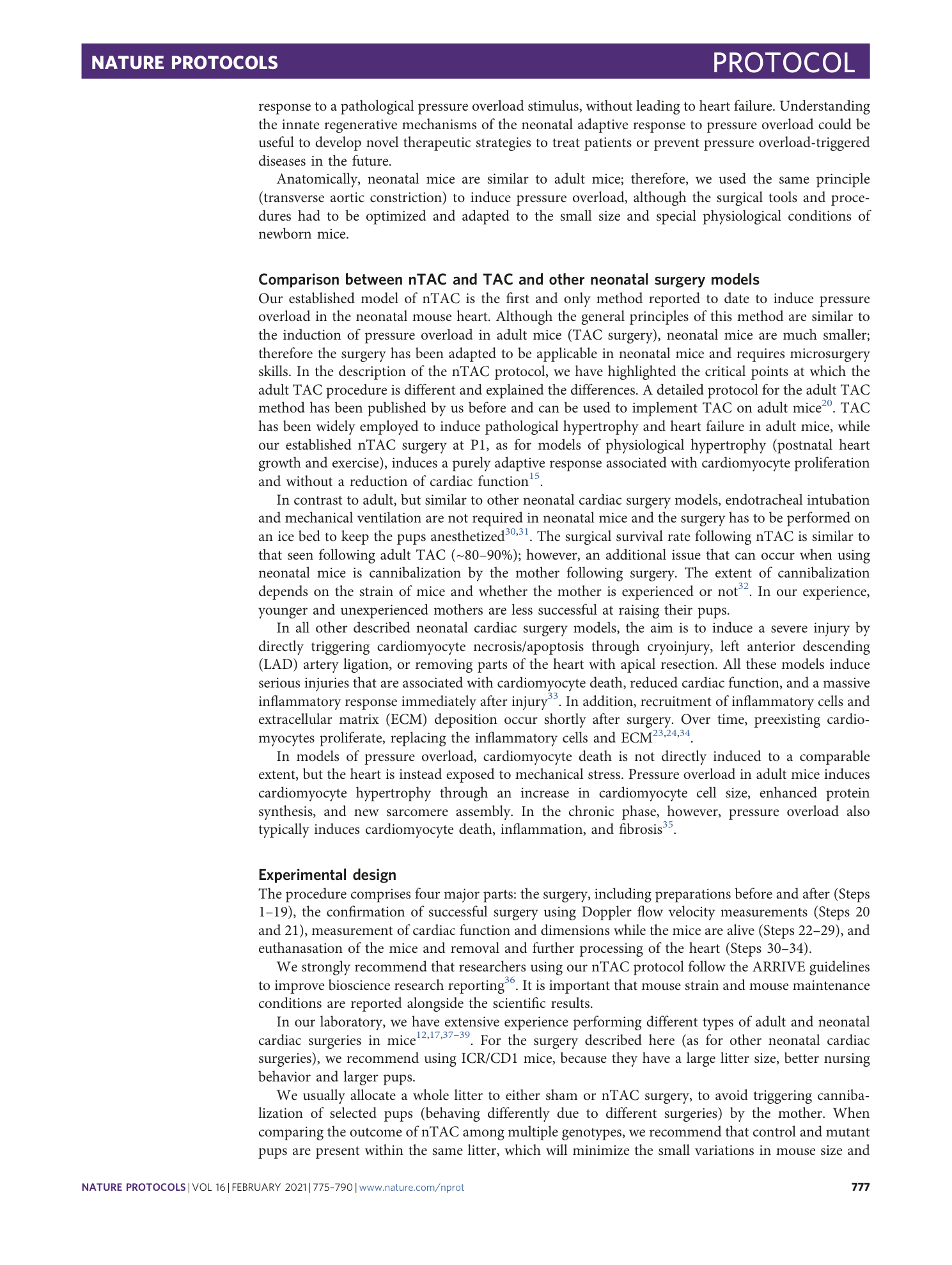 page-3