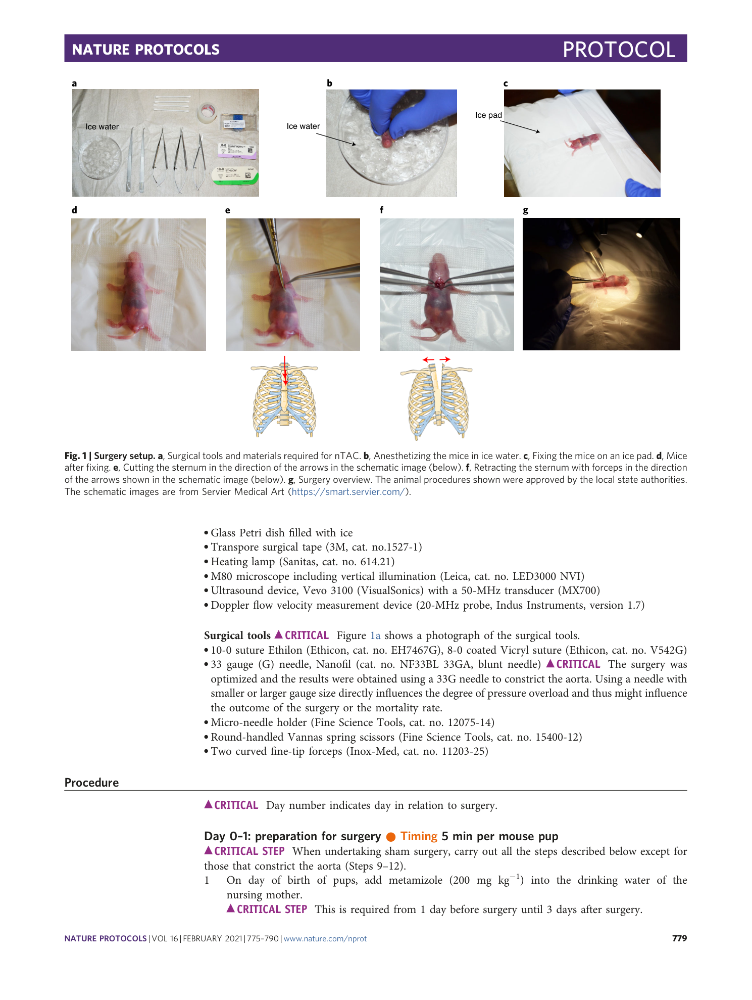page-5