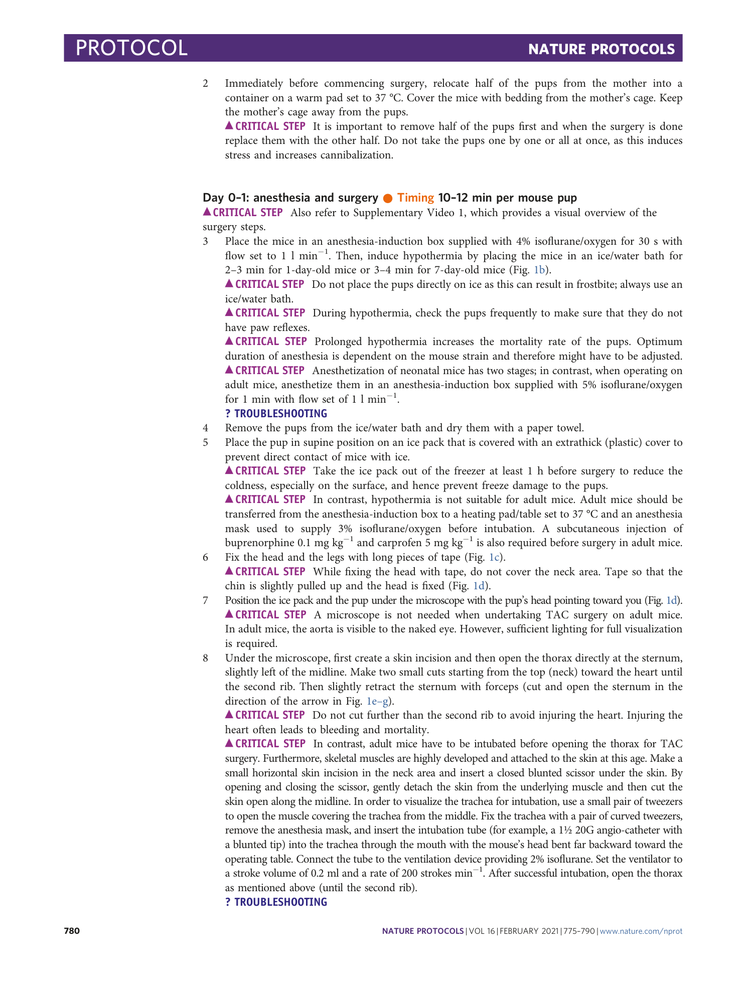 page-6