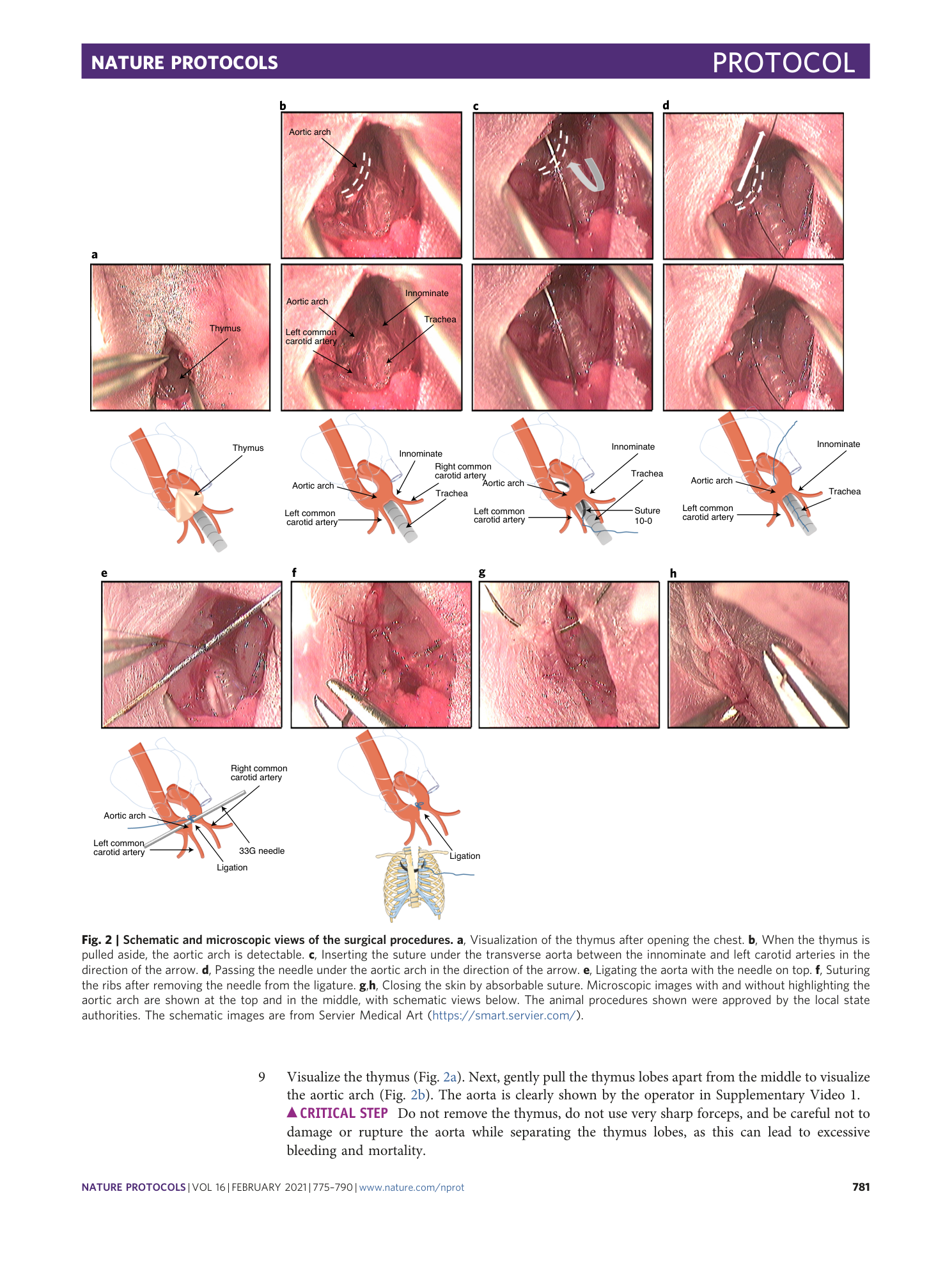 page-7