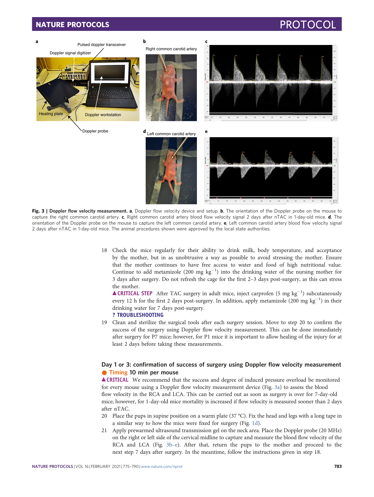 page-9