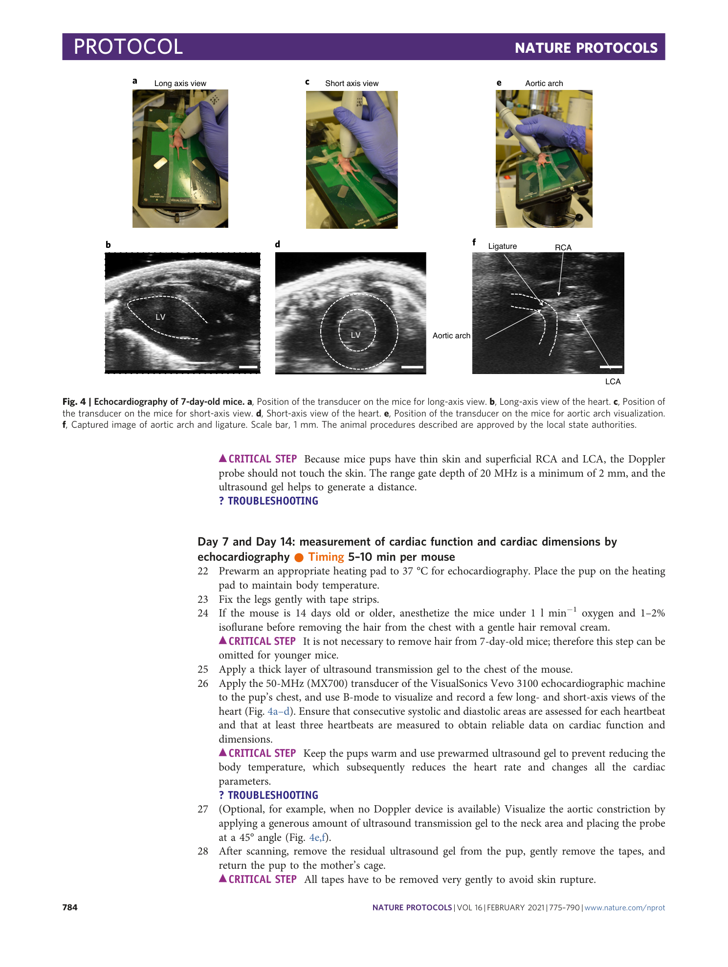 page-10