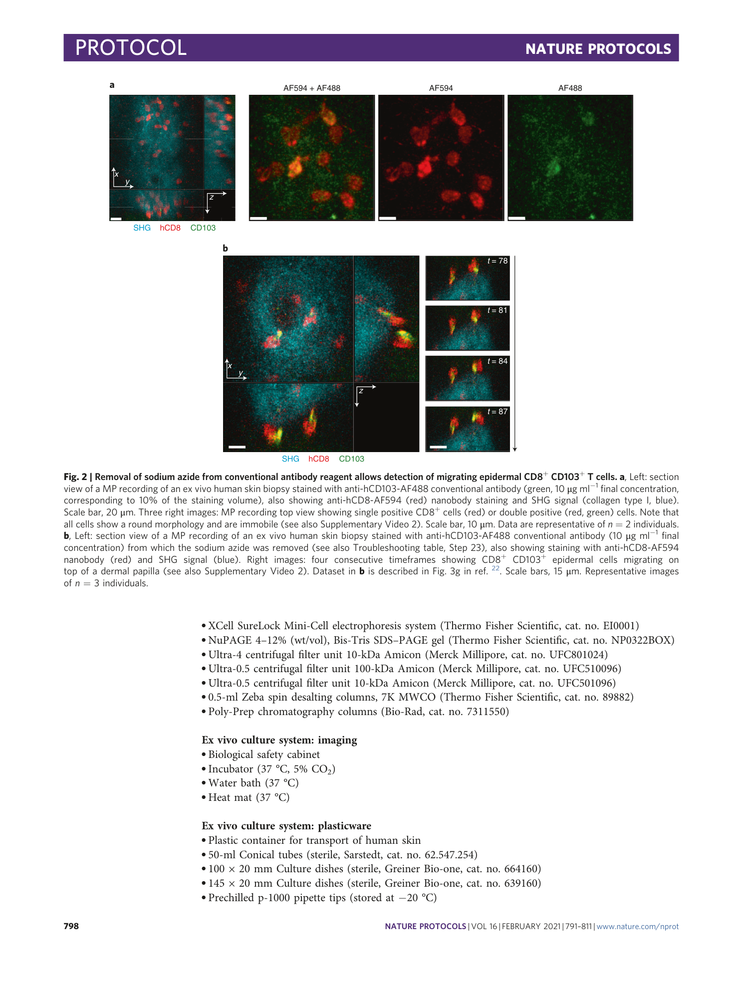 page-8