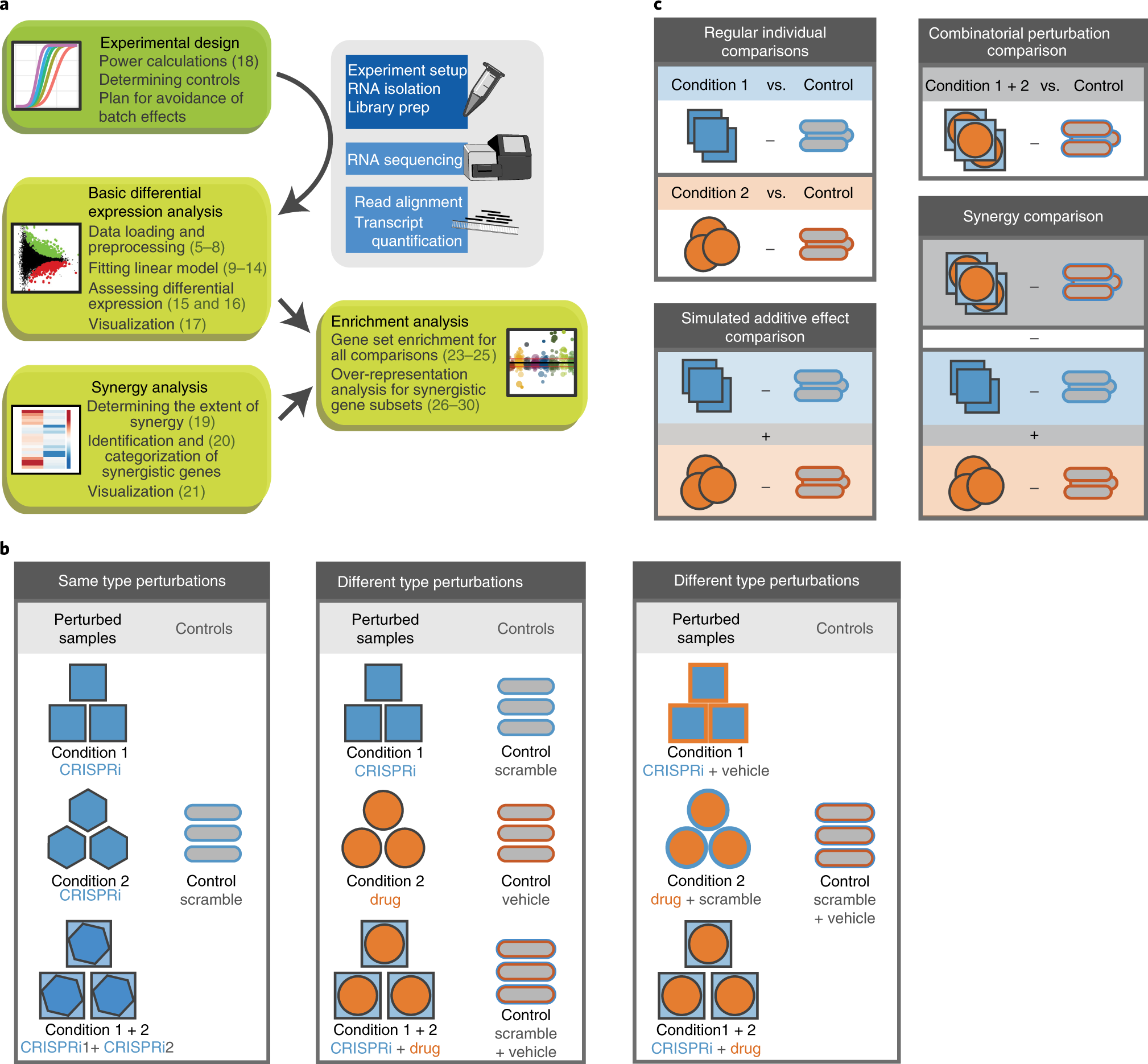 Fig. 1: General overview of the analysis pipeline, experimental design and differential expression contrast design.