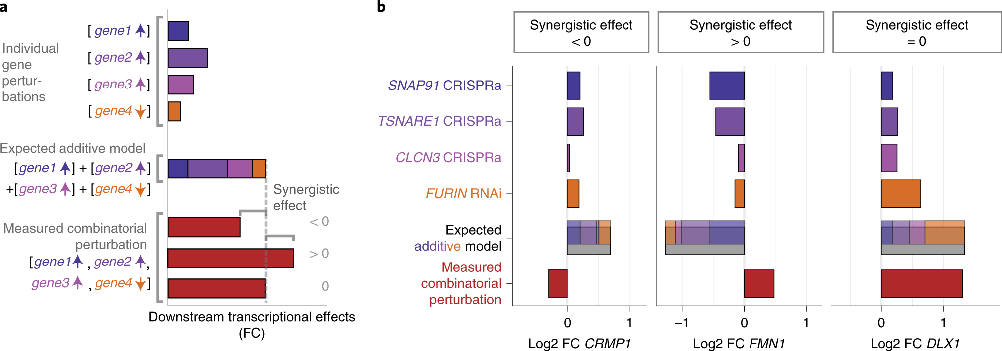 Fig. 2: Synergistic effects.