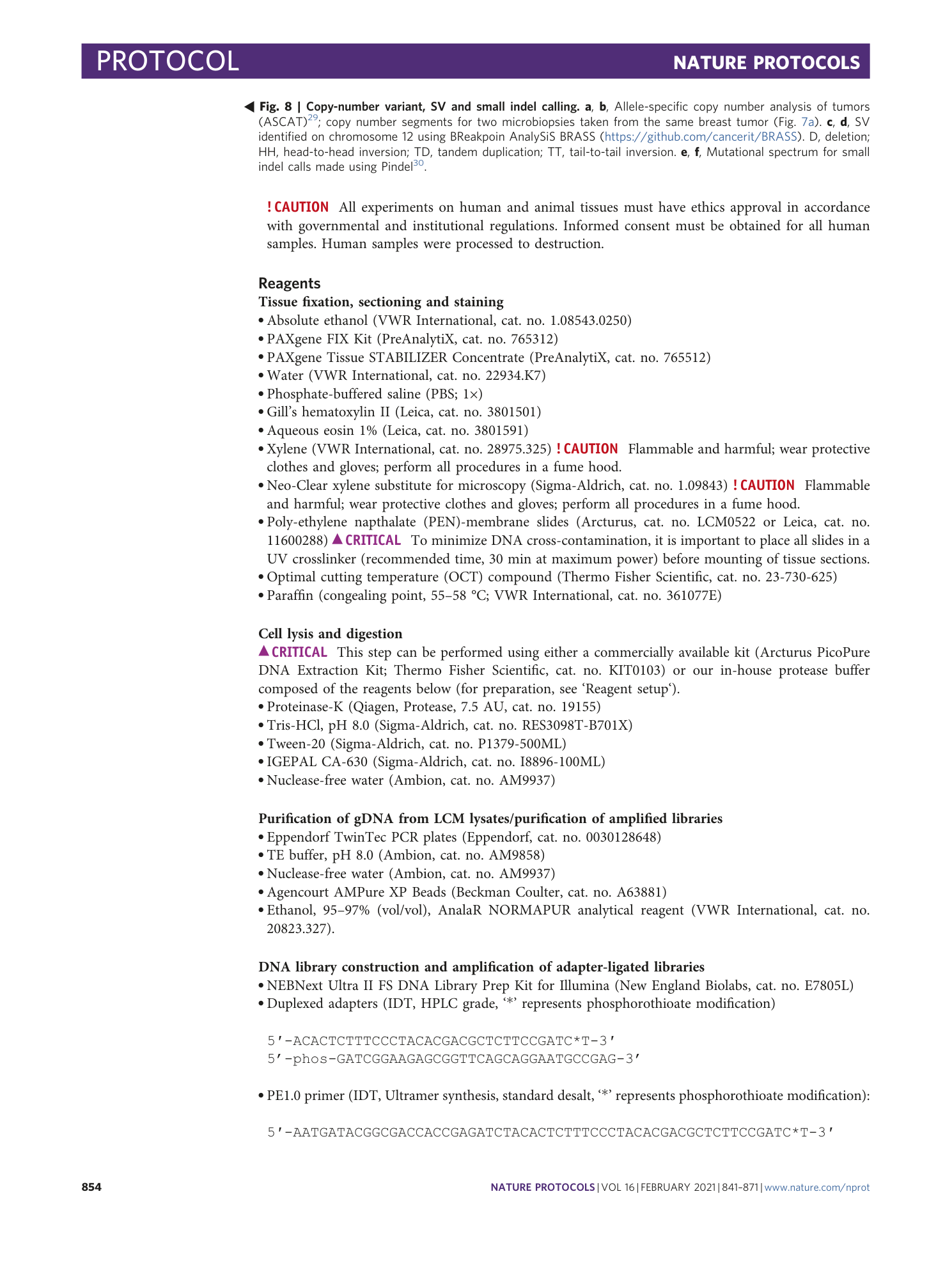 page-14