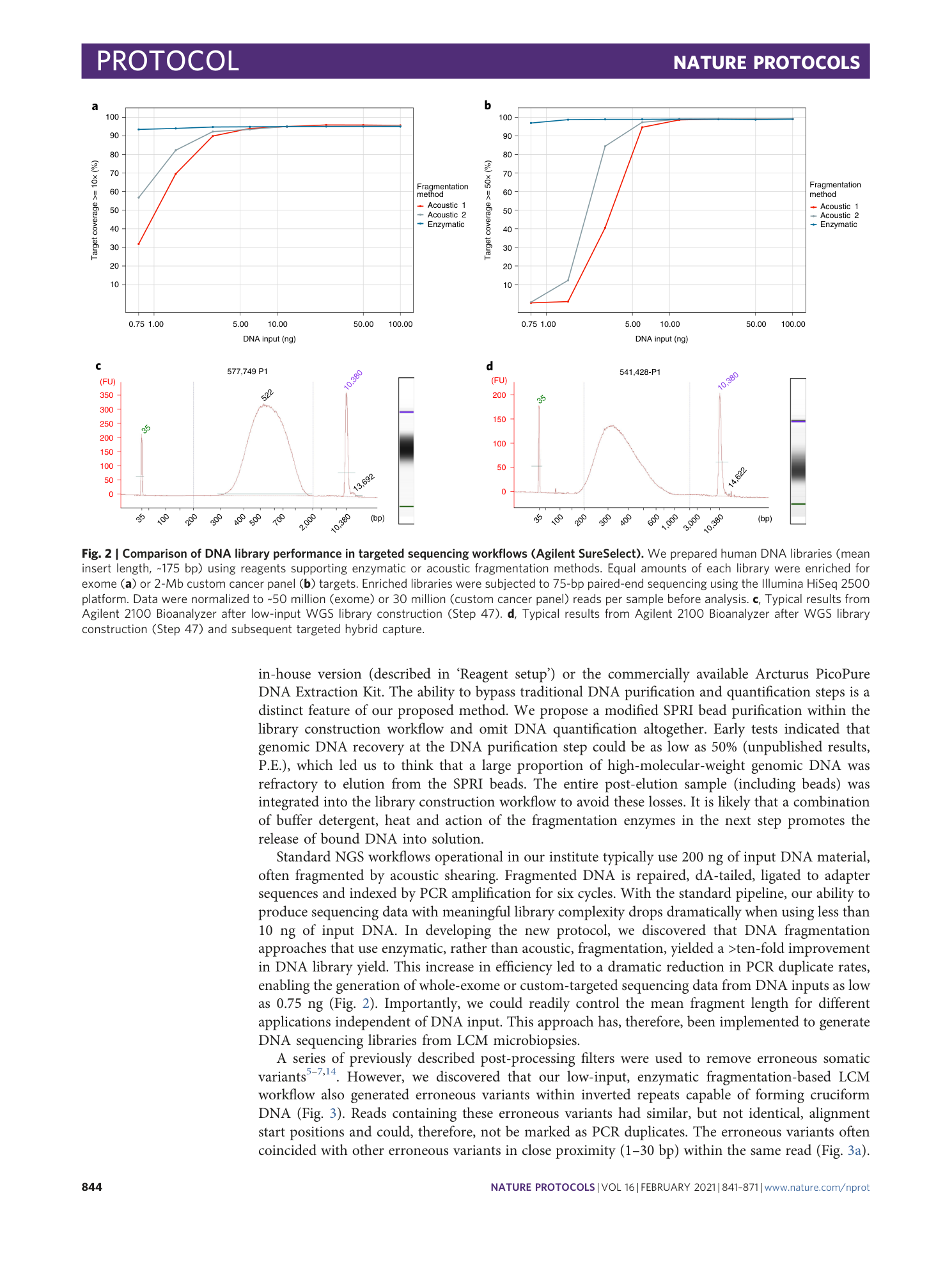 page-4