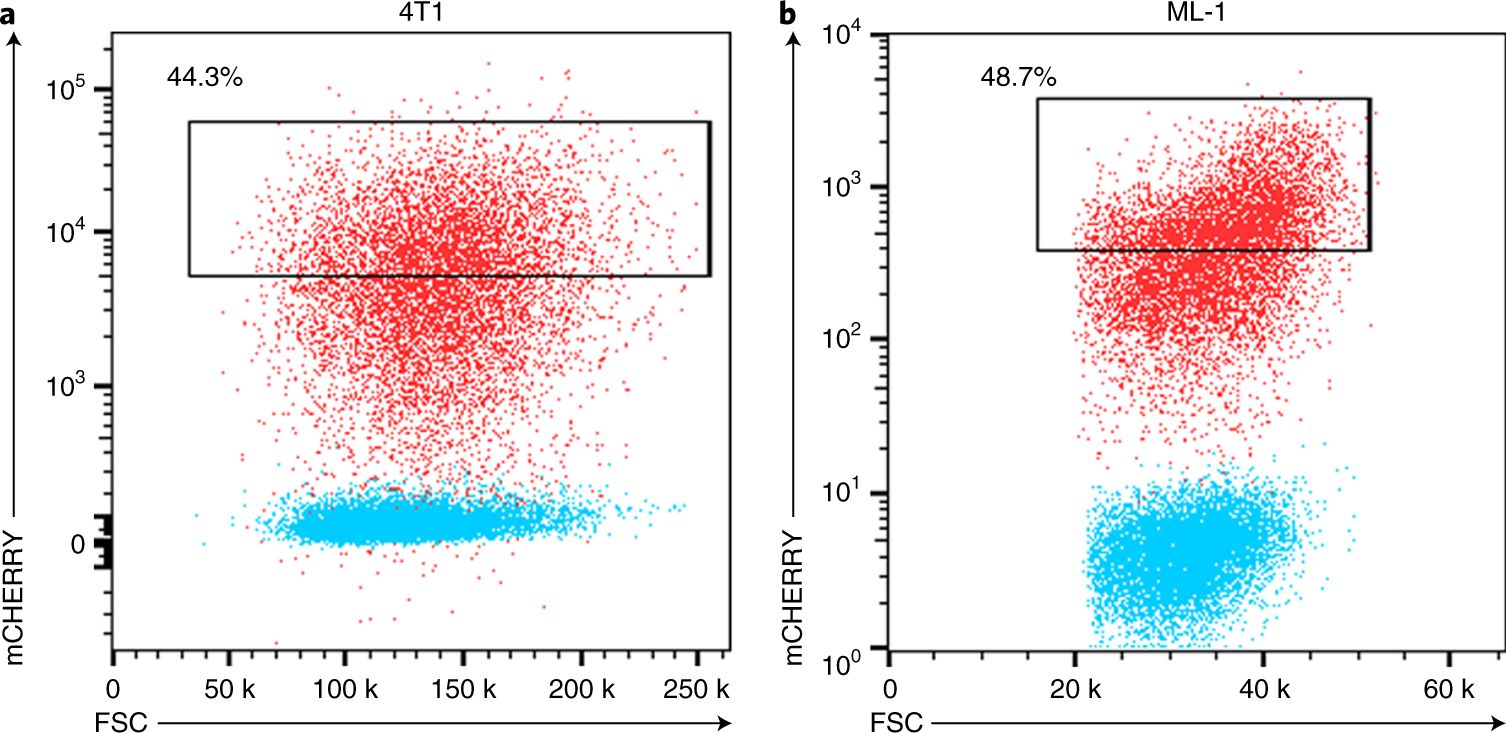 Fig. 3: Isolation of labeling cells by FACS.