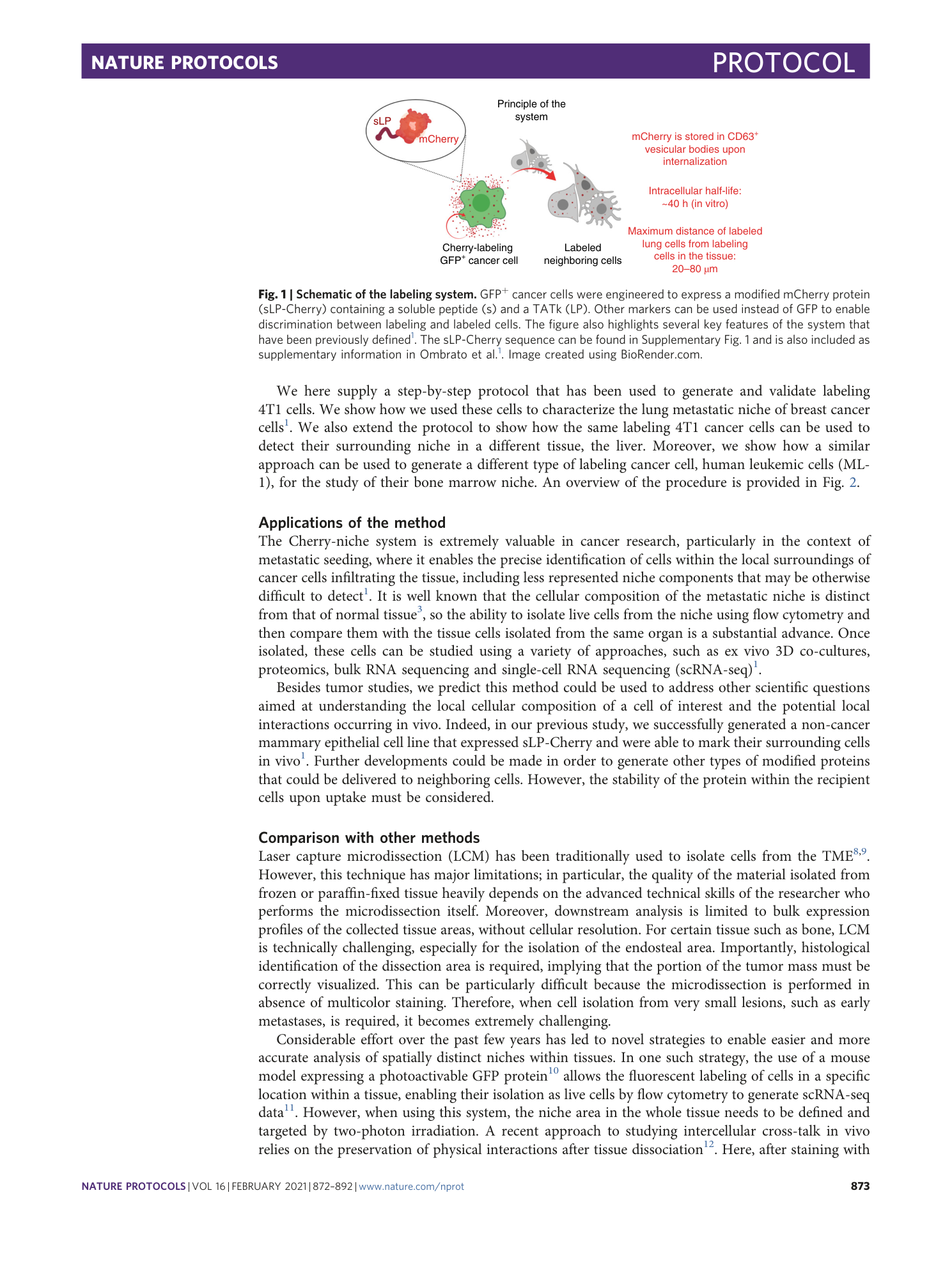 page-2