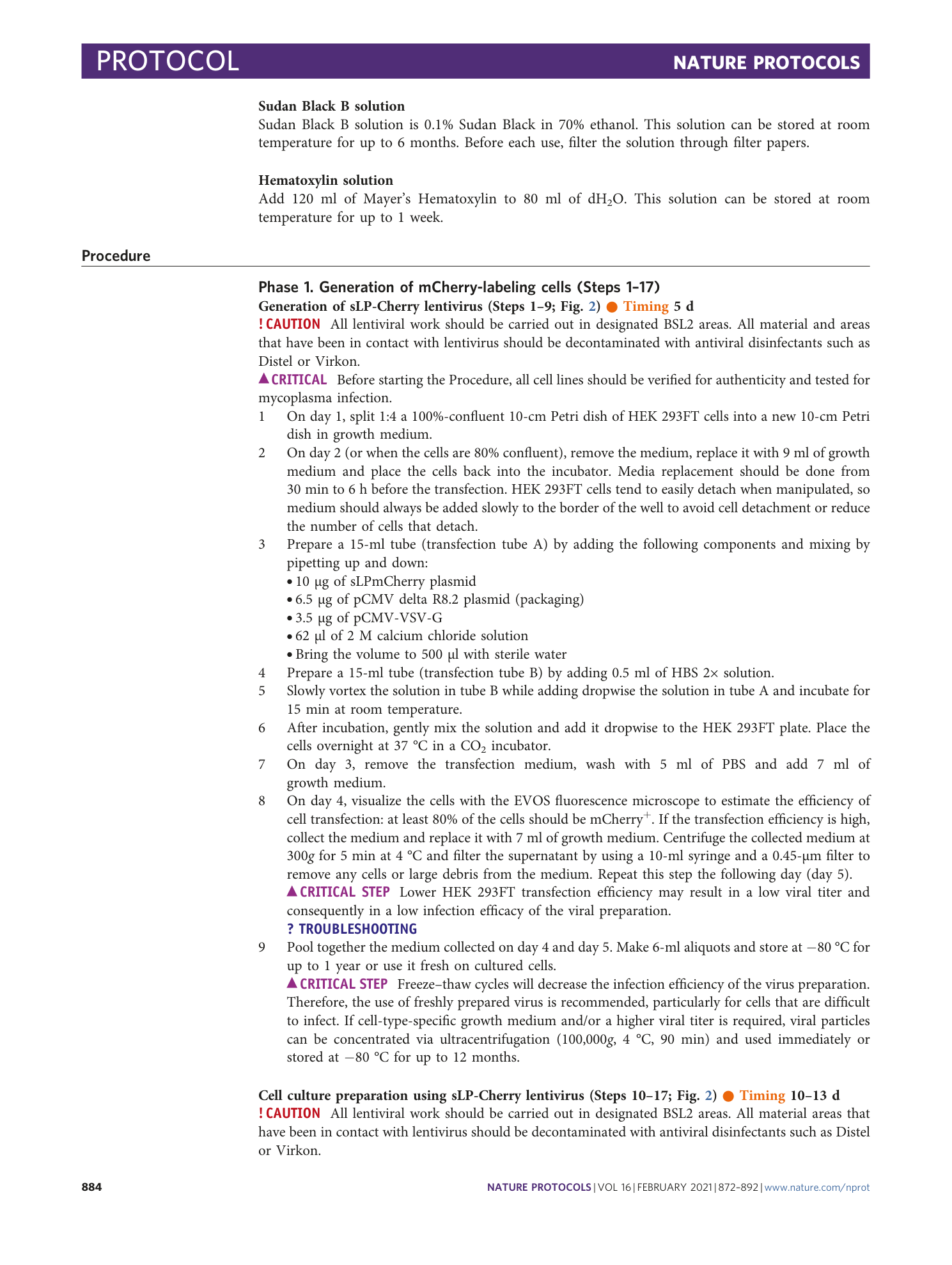 page-13