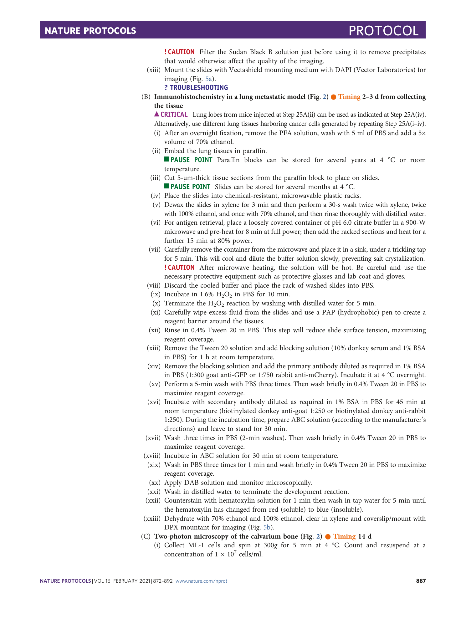 page-16