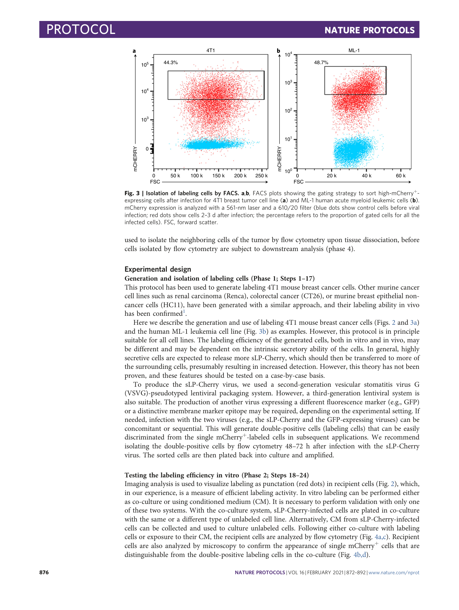page-5