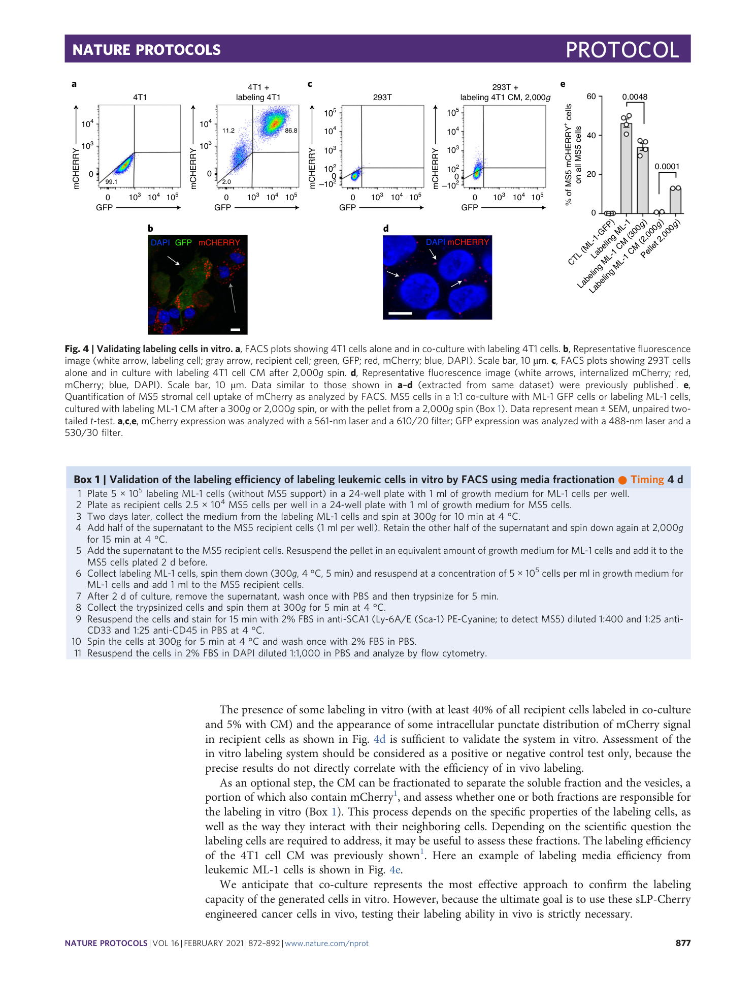 page-6