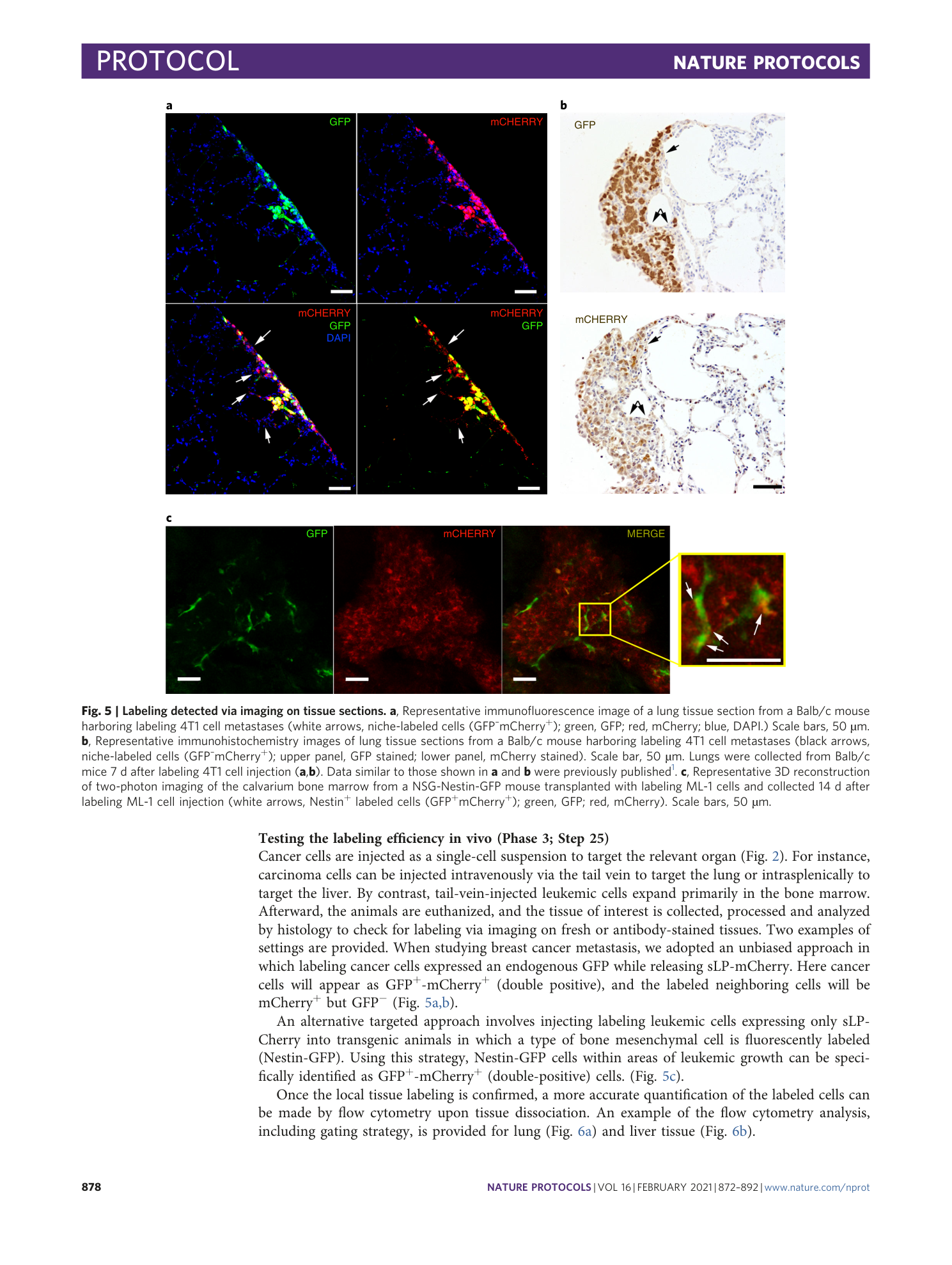 page-7