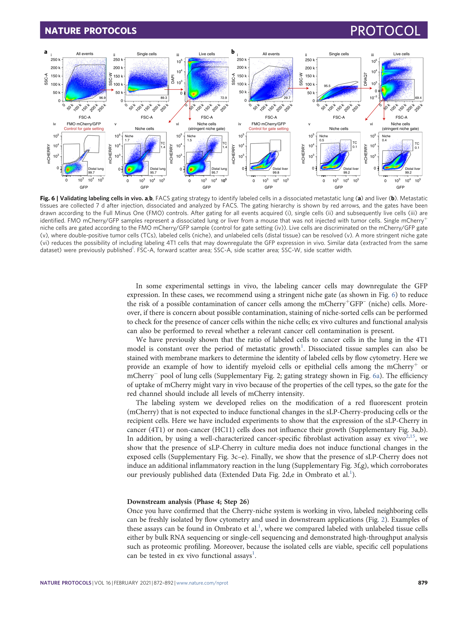 page-8