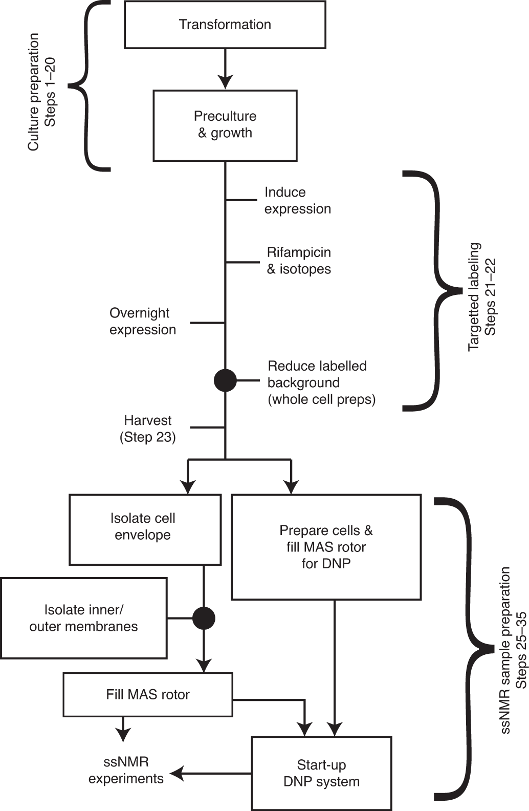 Fig. 1: Overview of the protocol divided into three stages.