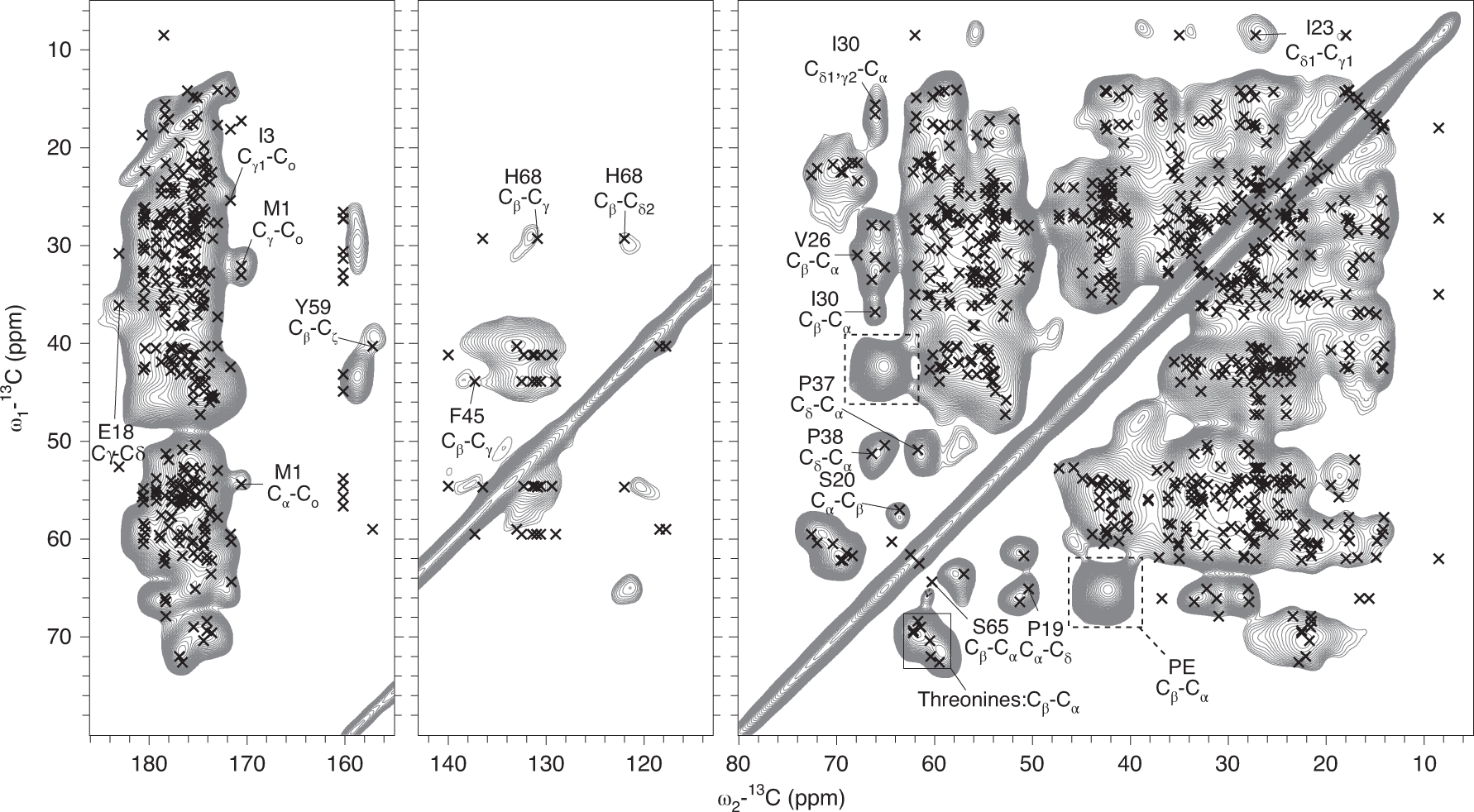 Fig. 8: The (13C, 13C) correlated proton-driven spin diffusion (30 ms) of ubiquitin in deuterated Lemo21 cells.