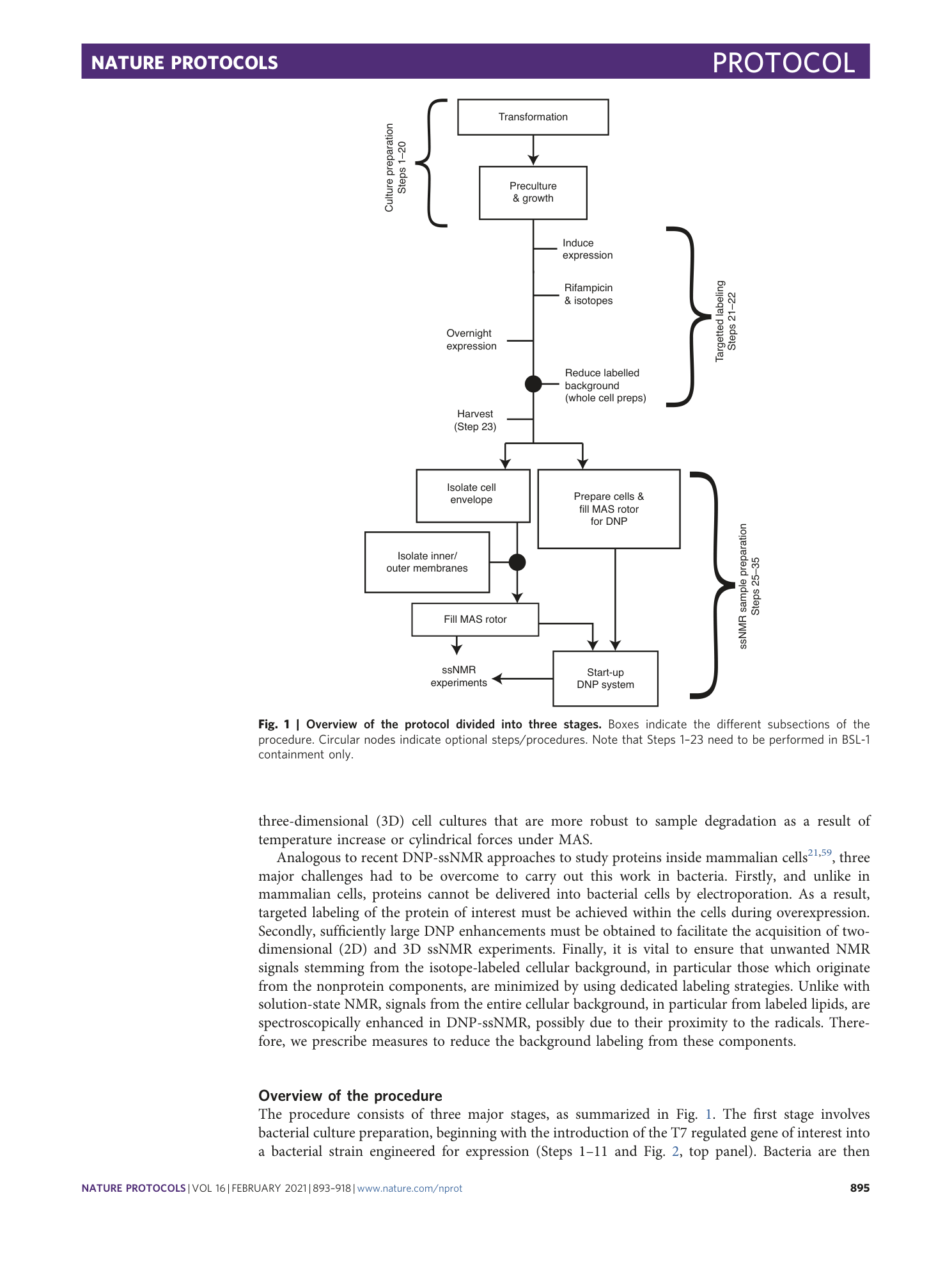 page-3