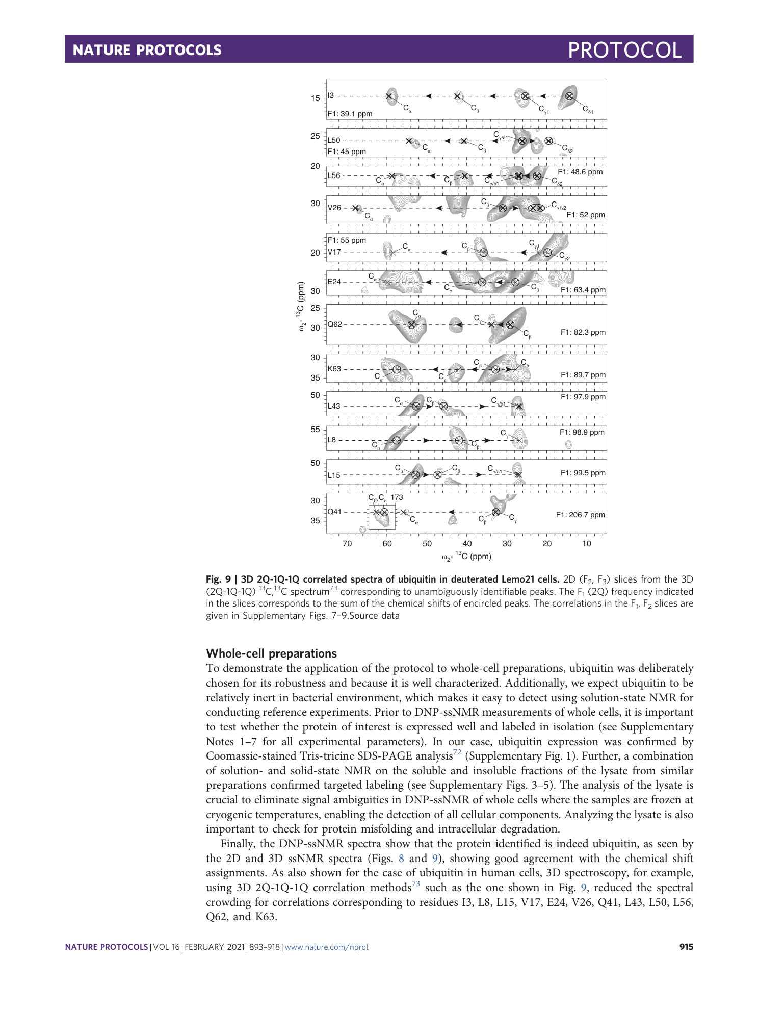 page-23