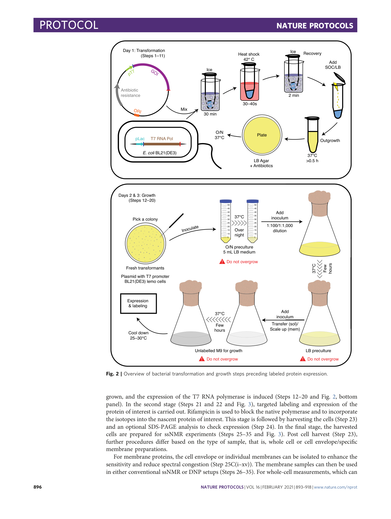 page-4