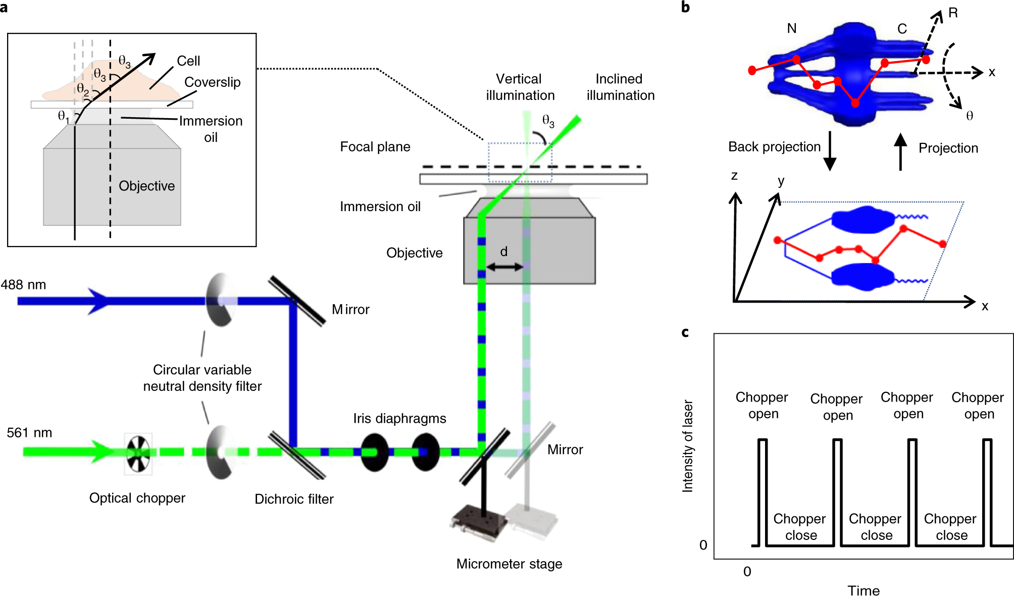 Fig. 1: A schematic of excitation optical paths for both vertical and inclined illumination.