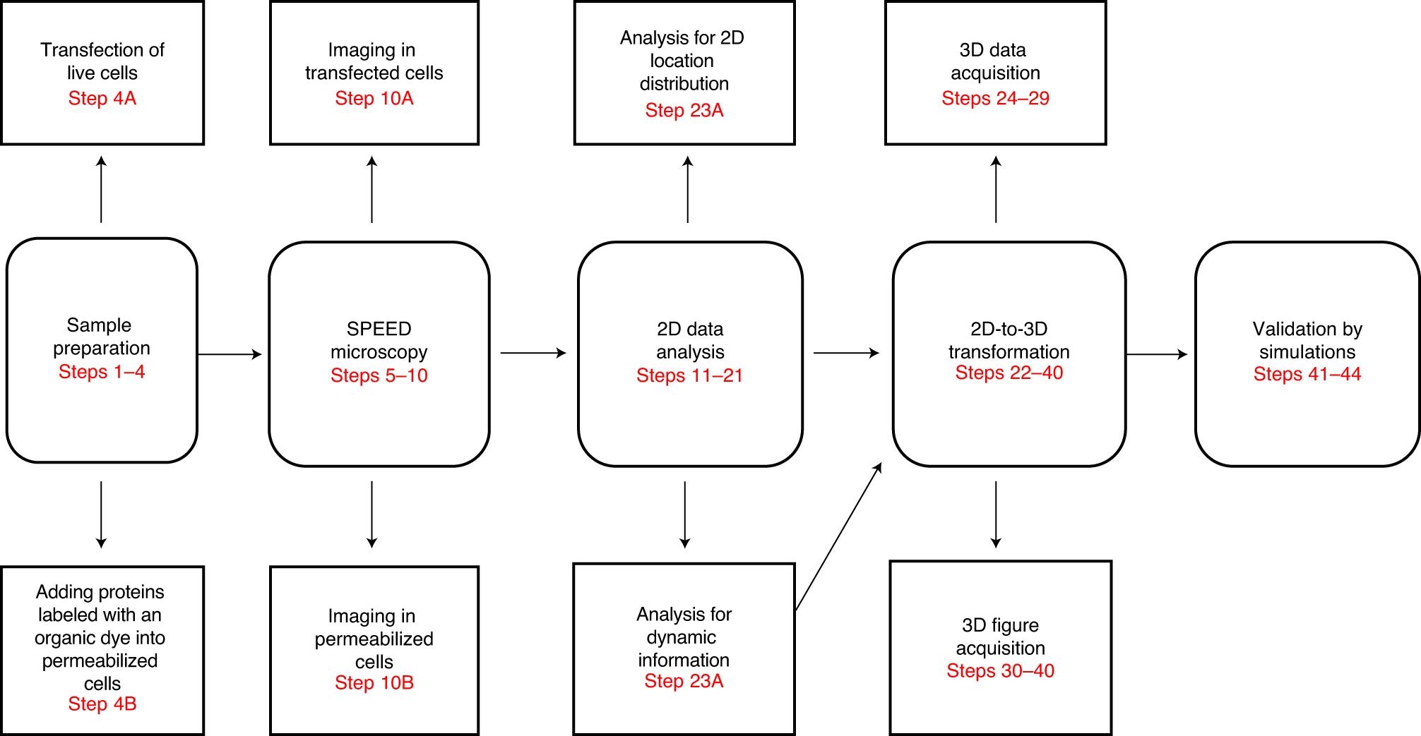 Fig. 5: Schematic workflow for SPEED microscopy.