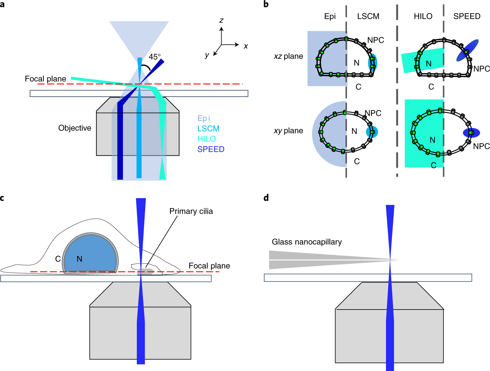 Fig. 6: Optical paths in the SPEED microscope and other microscopes.