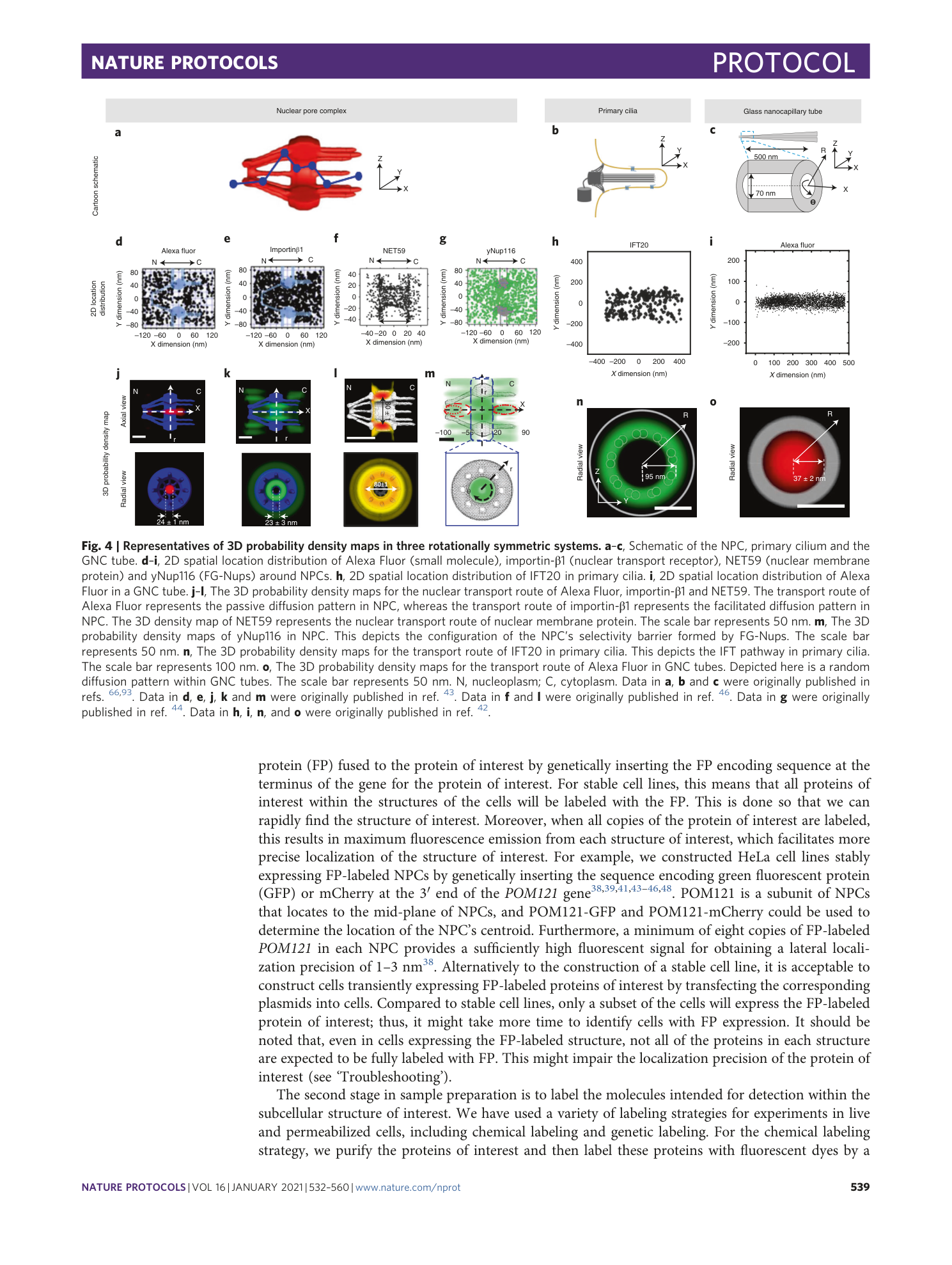 page-8