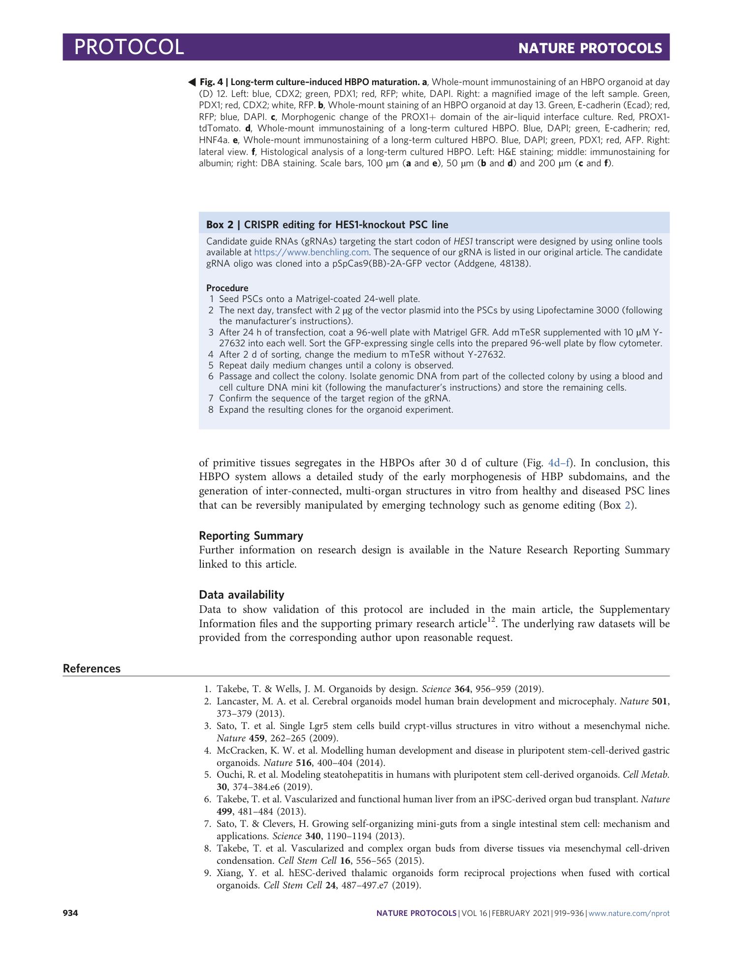 page-16