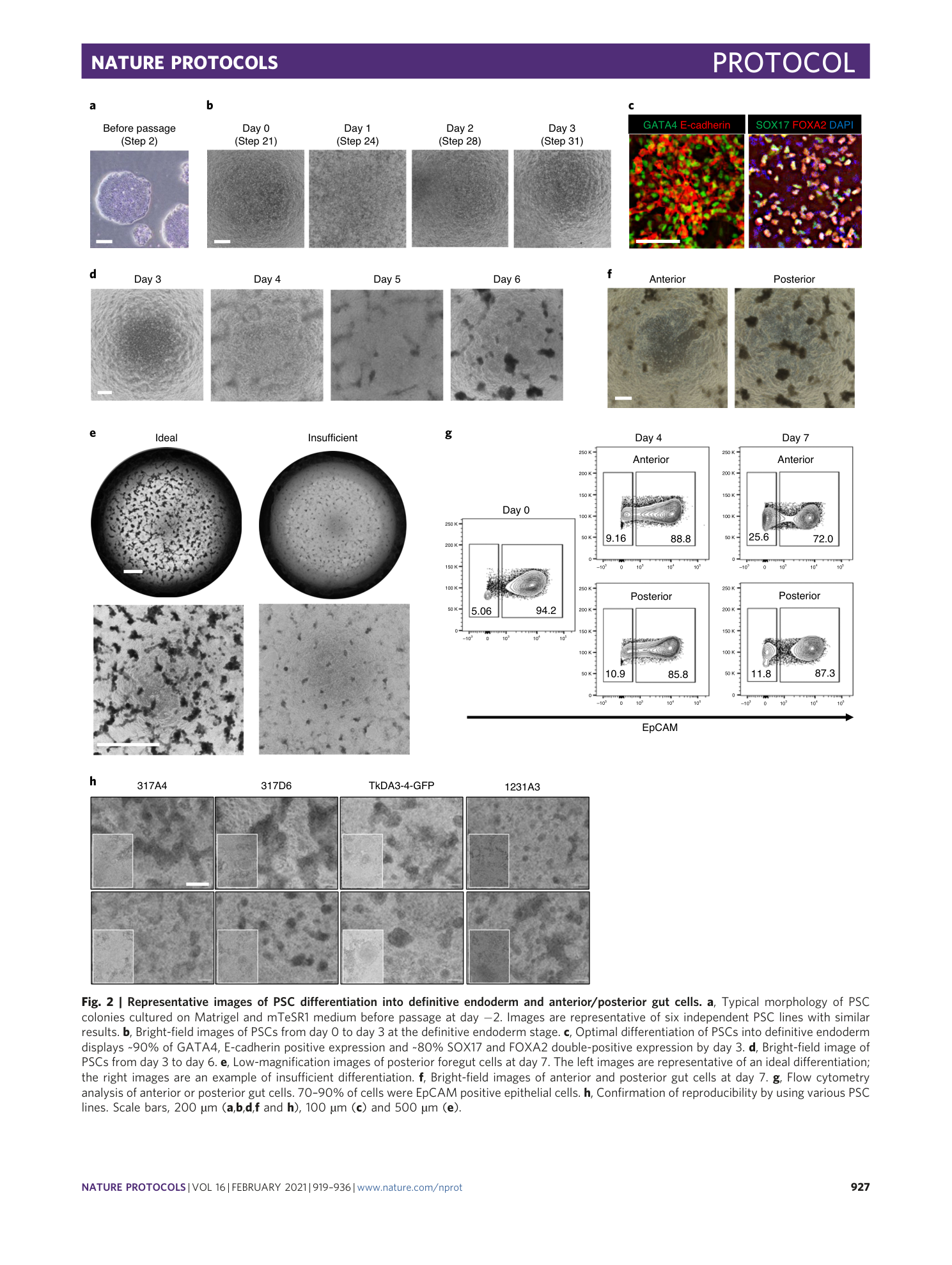 page-9