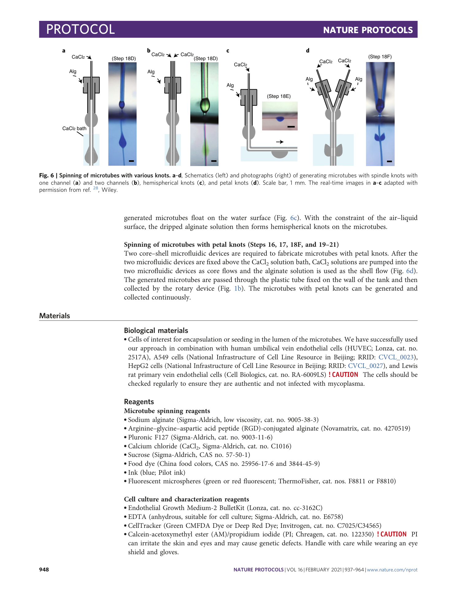 page-12
