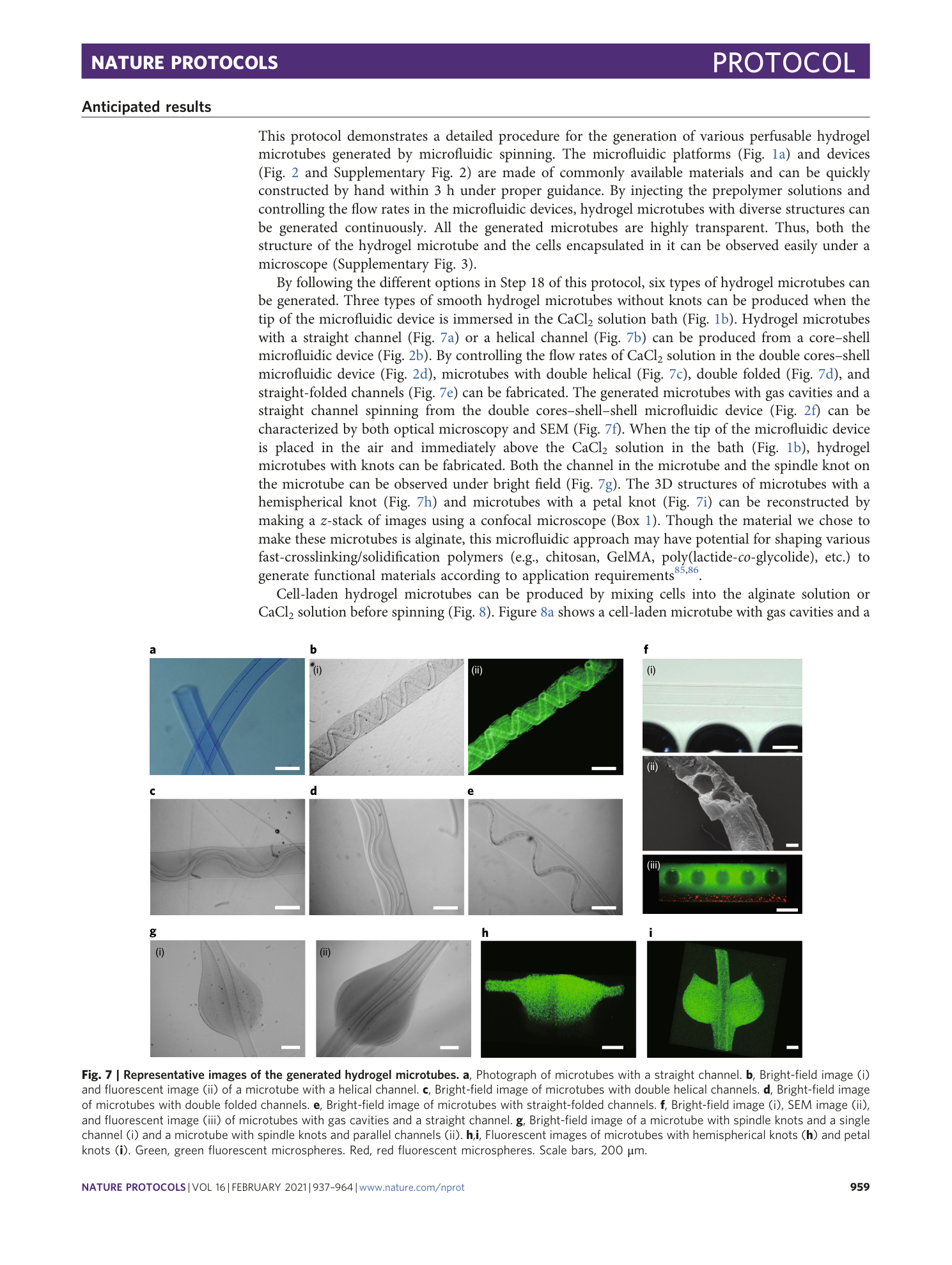 page-23