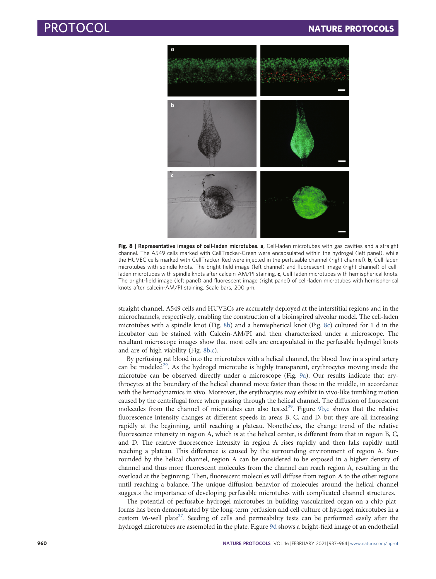 page-24