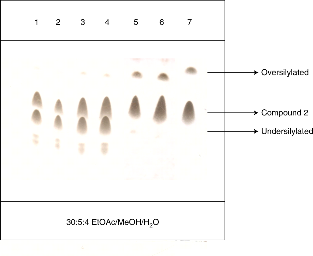 Fig. 6: Monitoring of silylation progress.