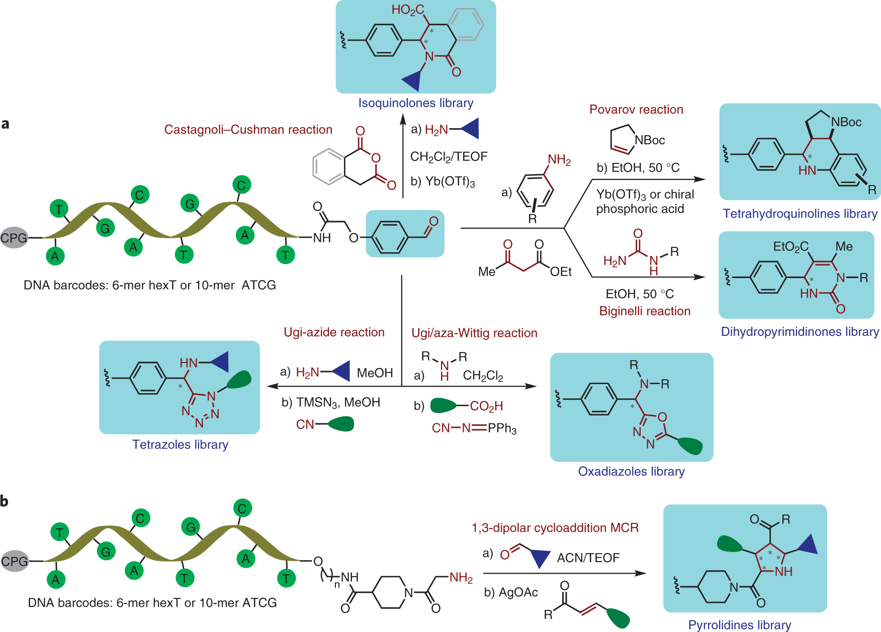 Fig. 10: Solid-phase synthesis of DNA-coupled heterocycles by MCRs.