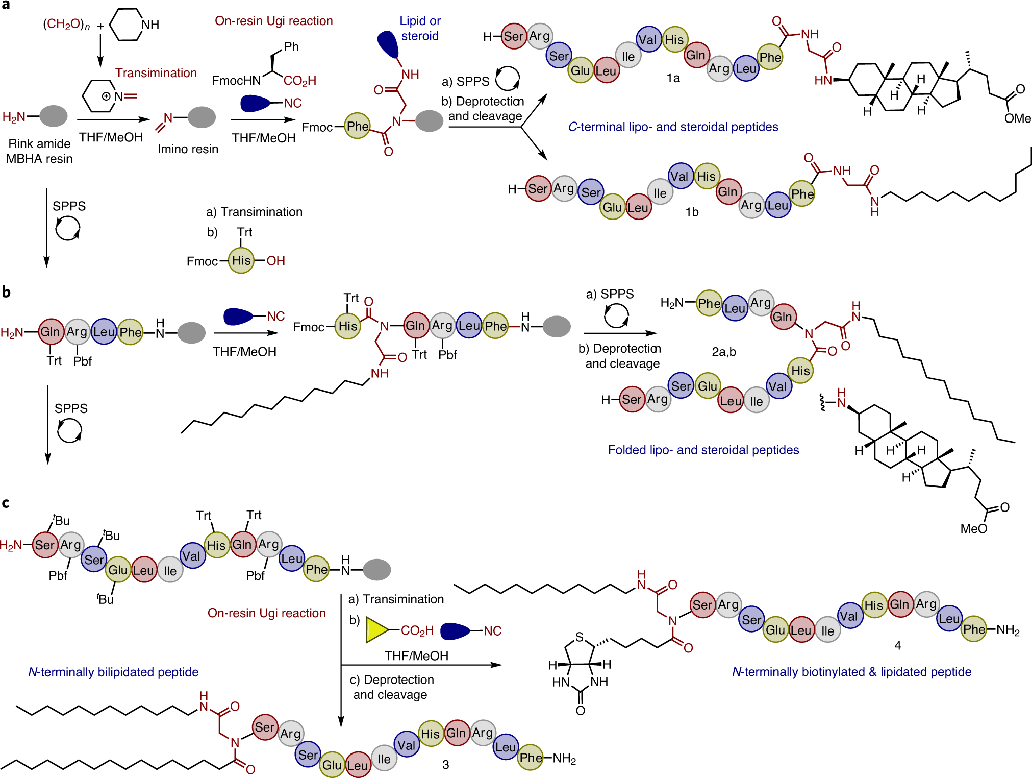 Fig. 2: On-resin Ugi multicomponent derivatization of peptides with lipids, steroids, and biotin.