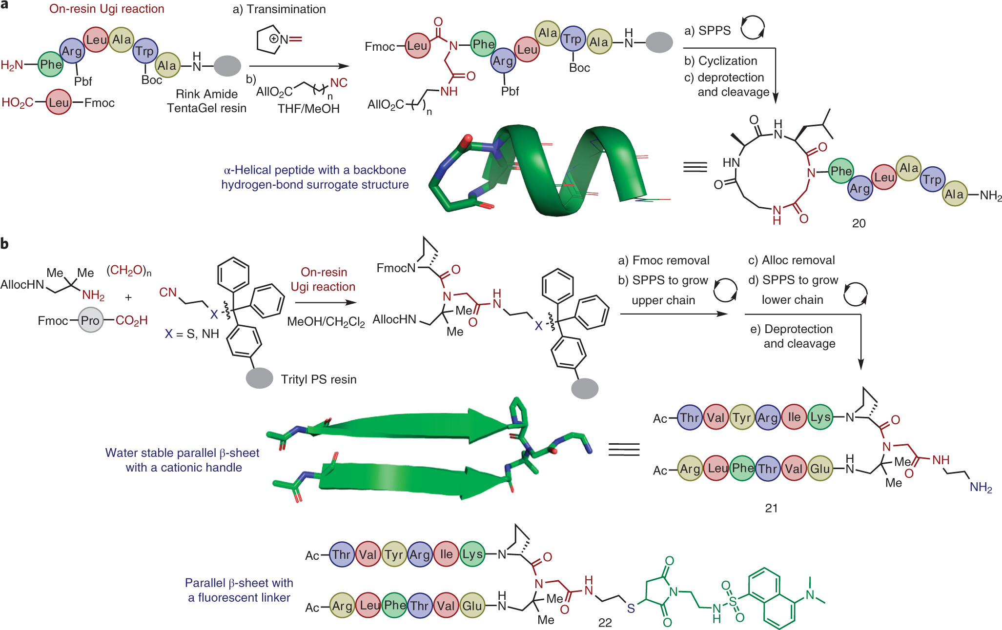 Fig. 8: On-resin multicomponent construction of peptide secondary structures.